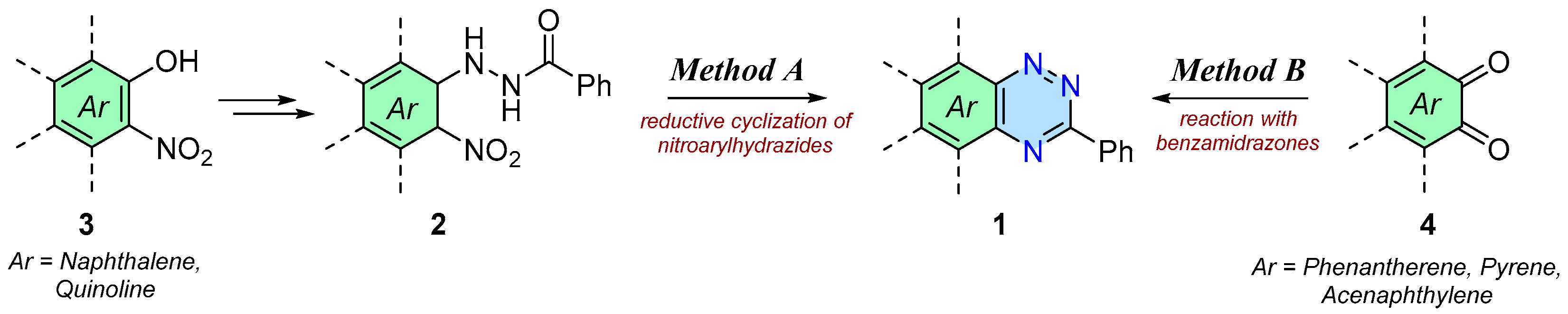Molbank 2024 m1824 g003