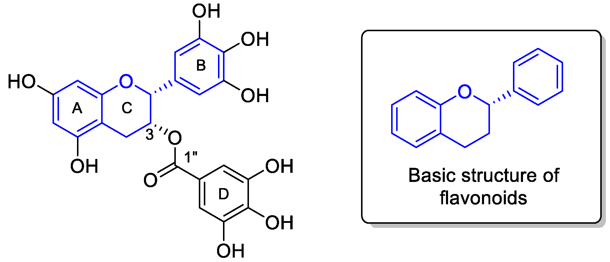 Molbank 2024 m1826 g001