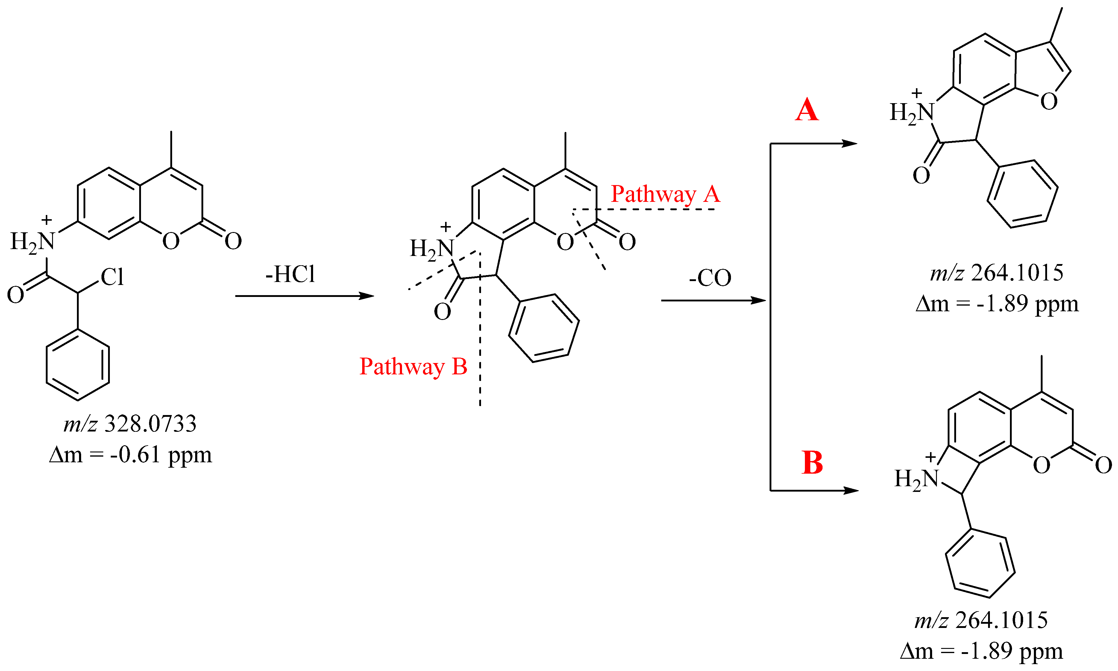 Molbank 2024 m1830 g001