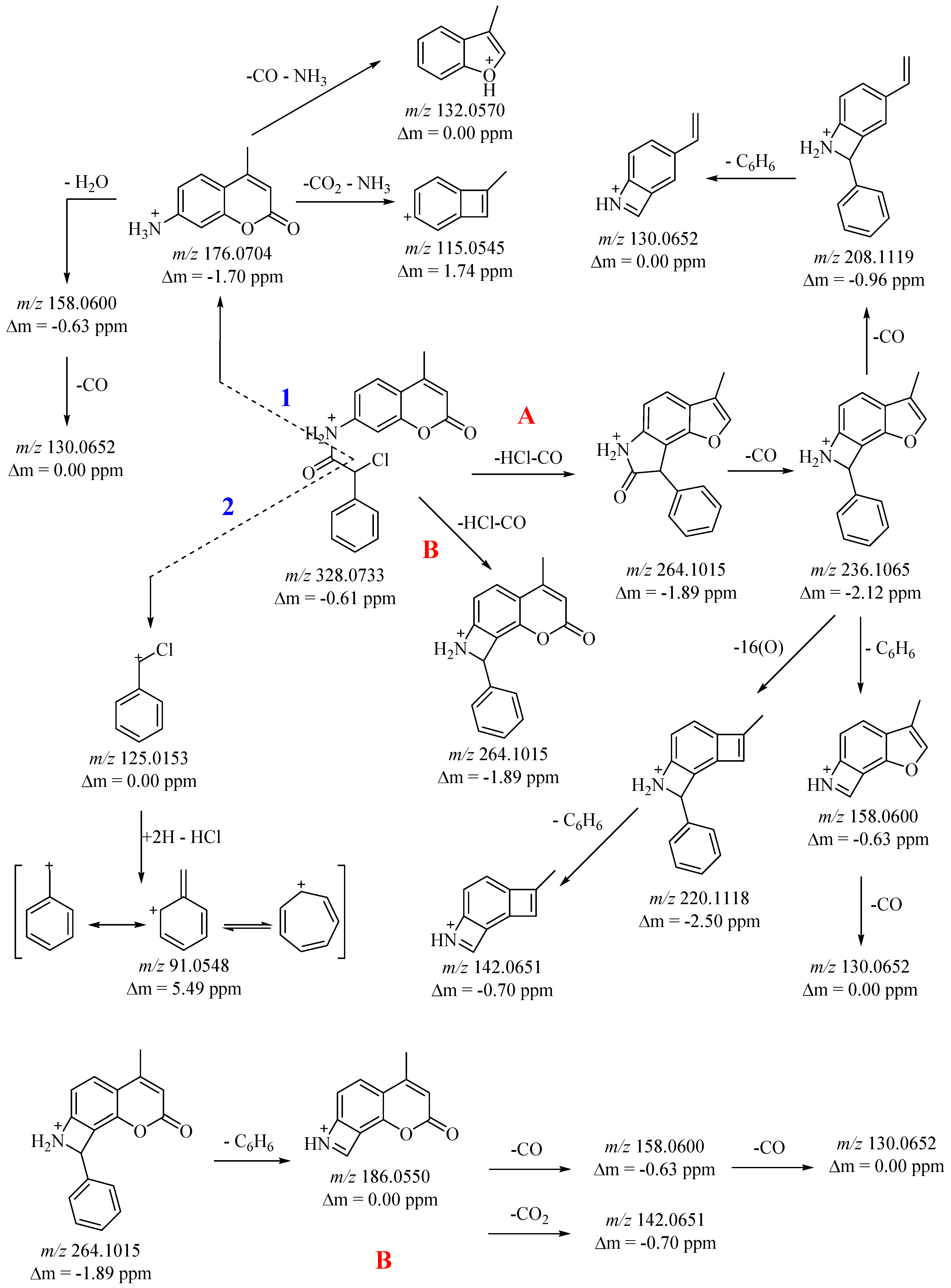 Molbank 2024 m1830 g002