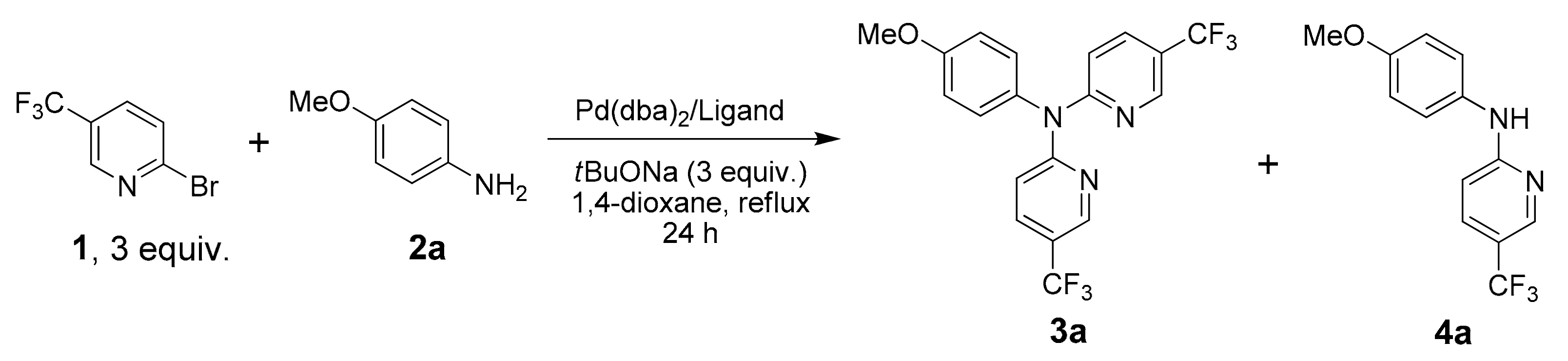 Molbank 2024 m1831 sch001