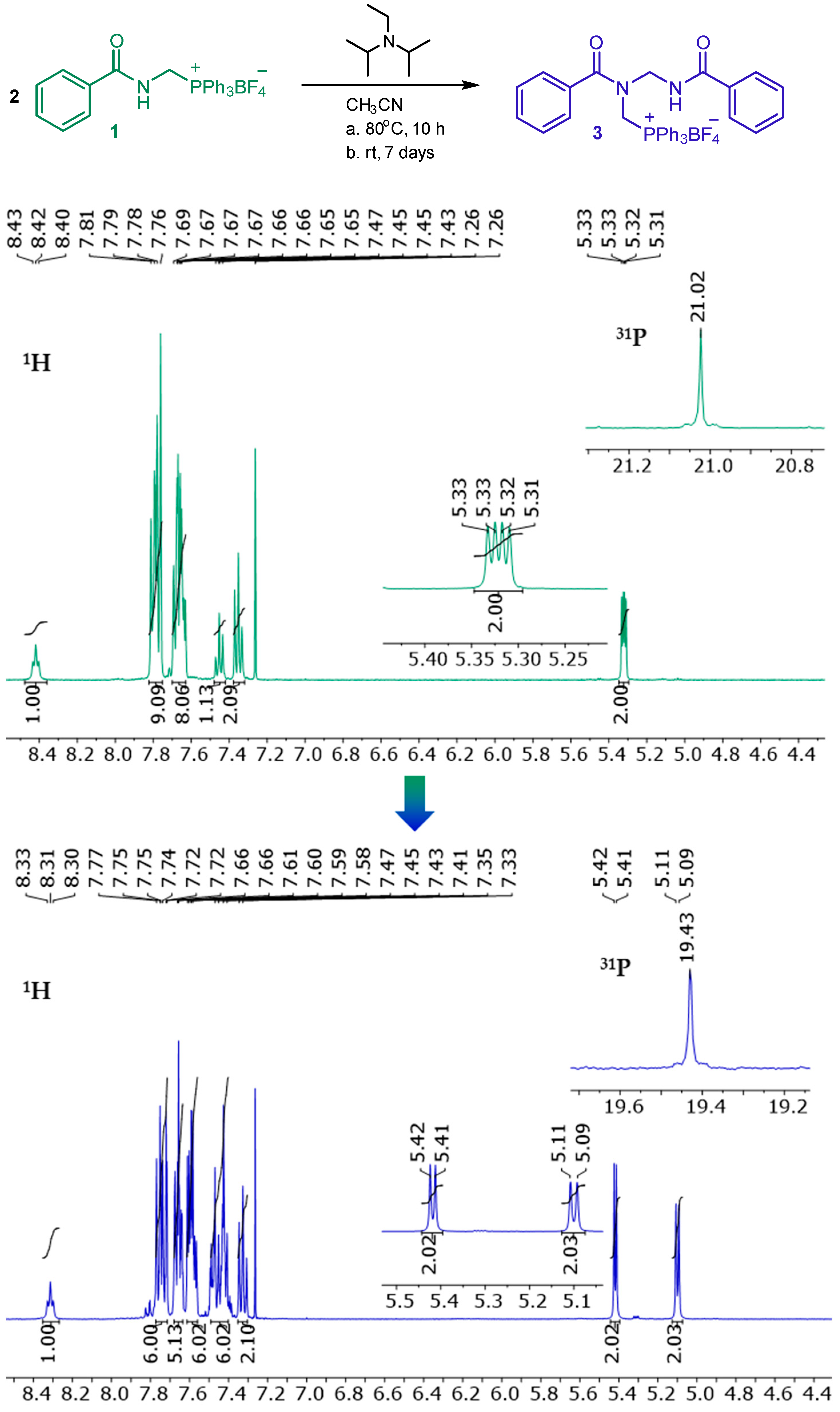 Molbank 2024 m1834 g001