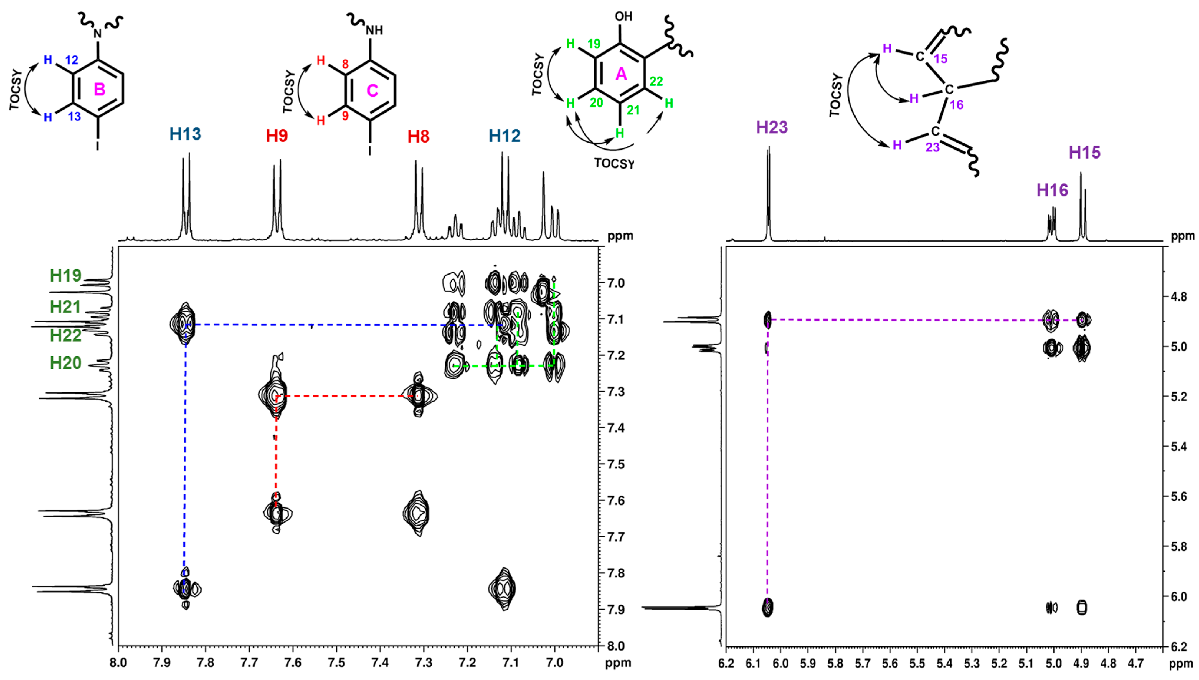 Molbank 2024 m1841 g002