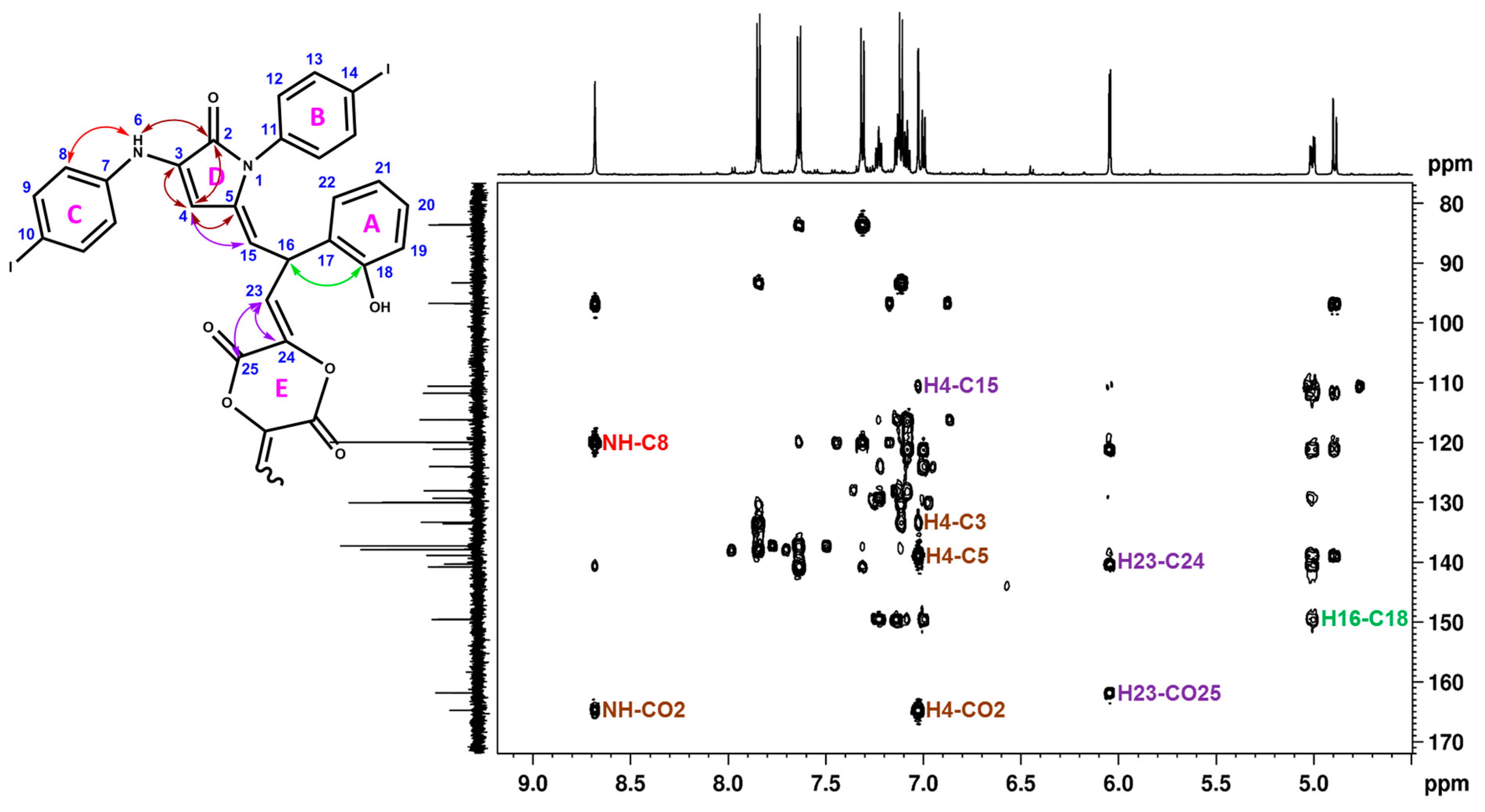 Molbank 2024 m1841 g004
