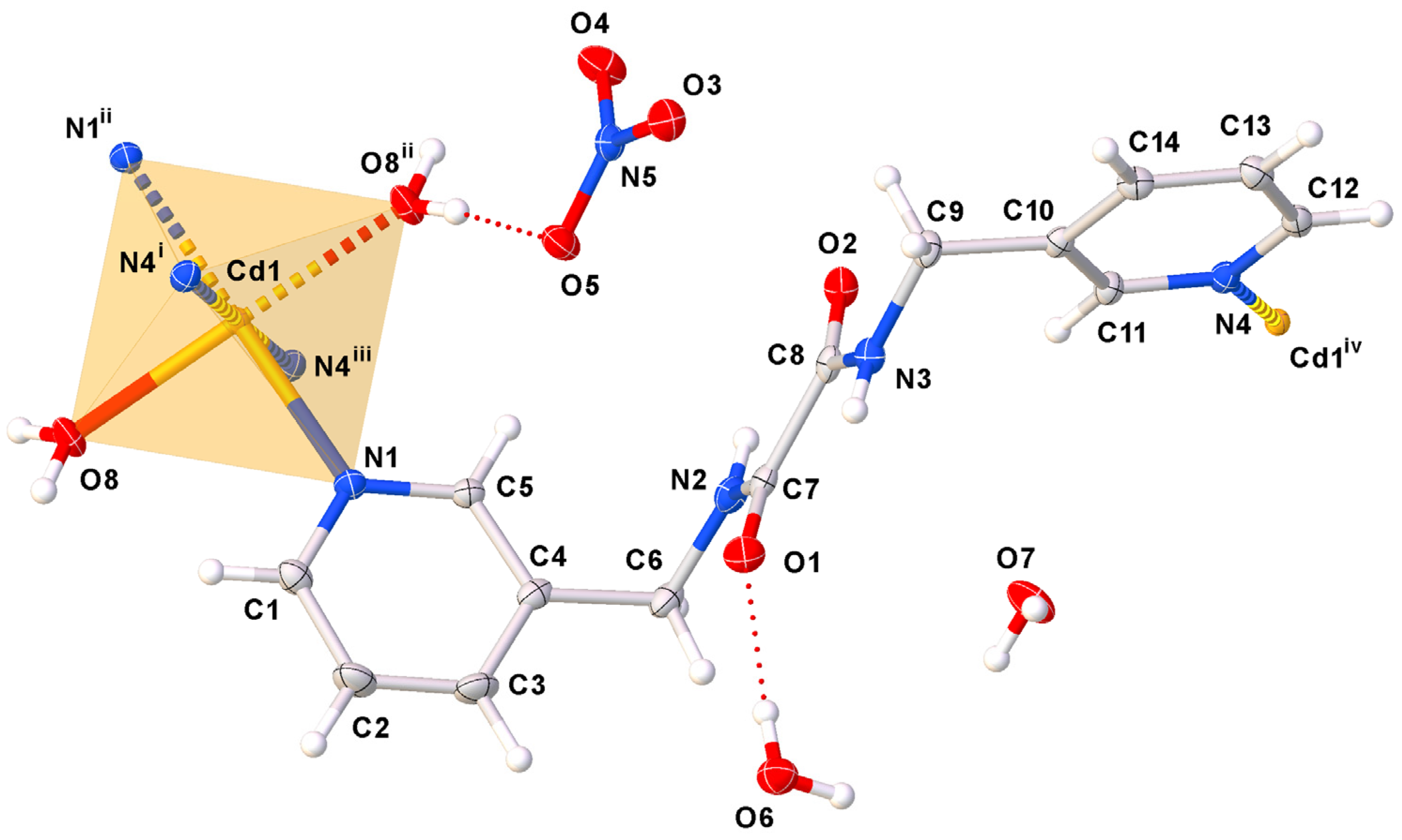 Molbank 2024 m1845 g001