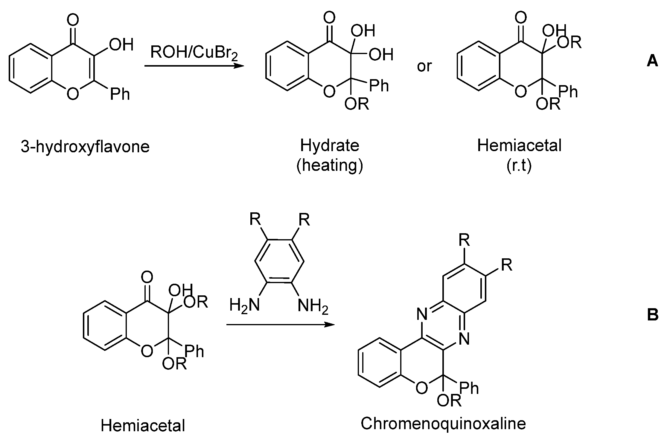 Molbank 2024 m1846 g001
