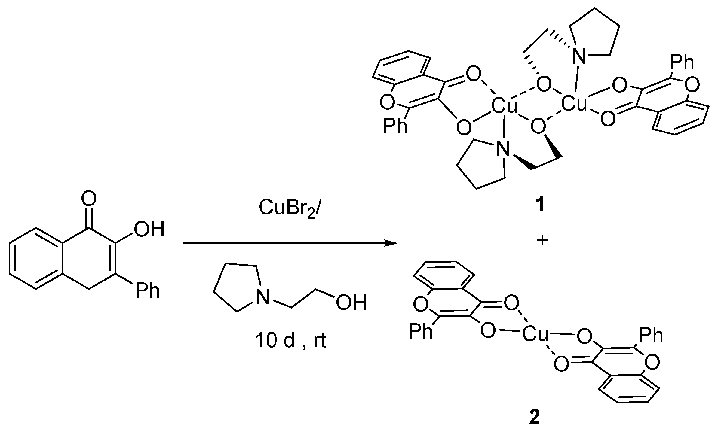 Molbank 2024 m1846 g002