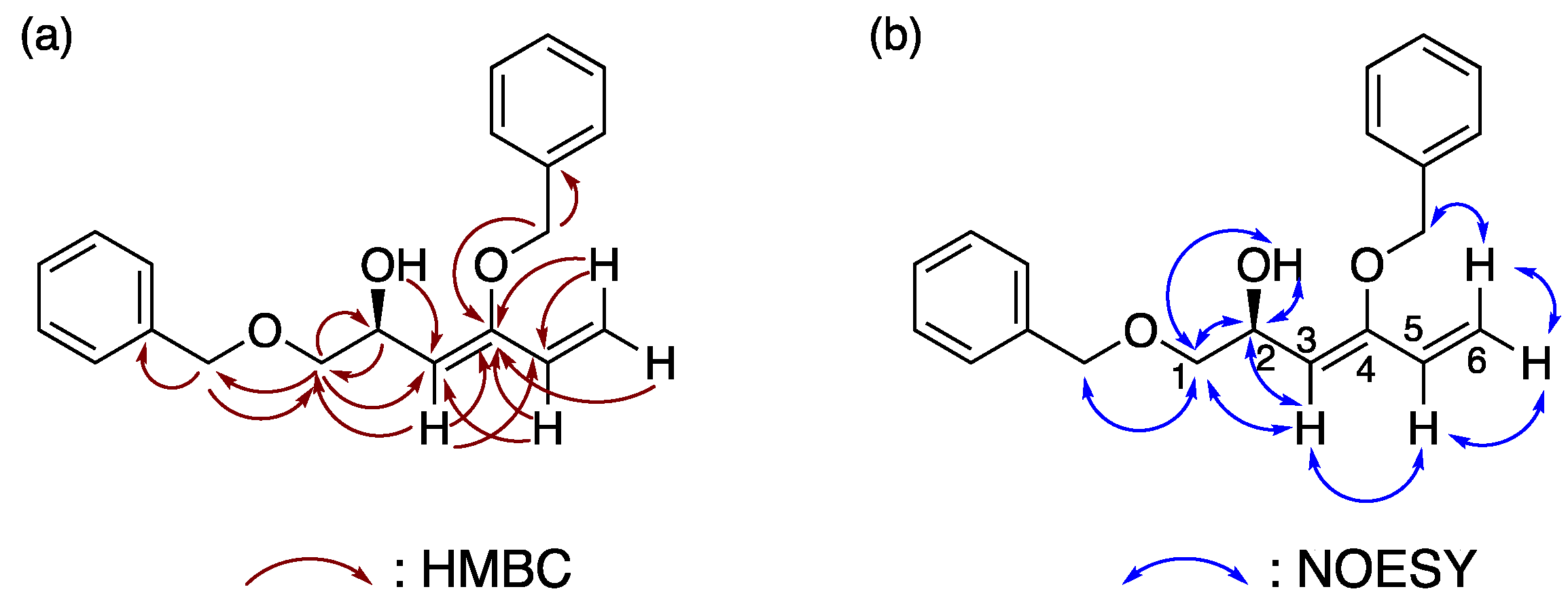 Molbank 2024 m1848 g002