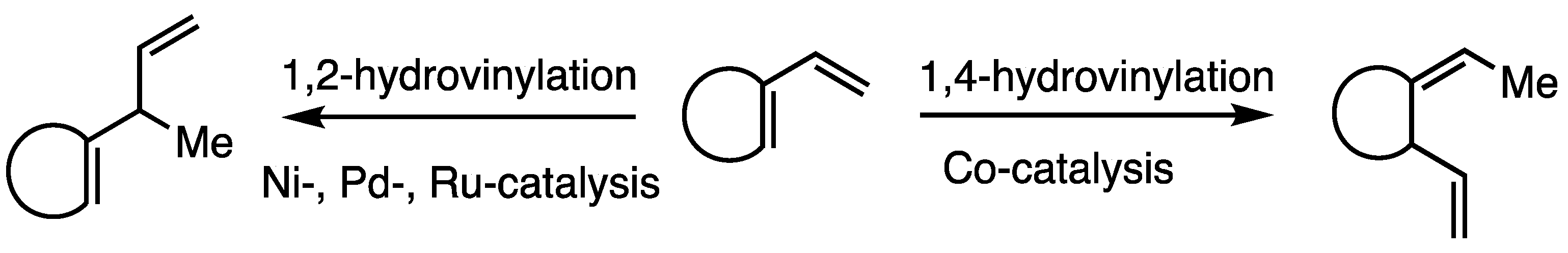 Molbank 2024 m1850 sch001