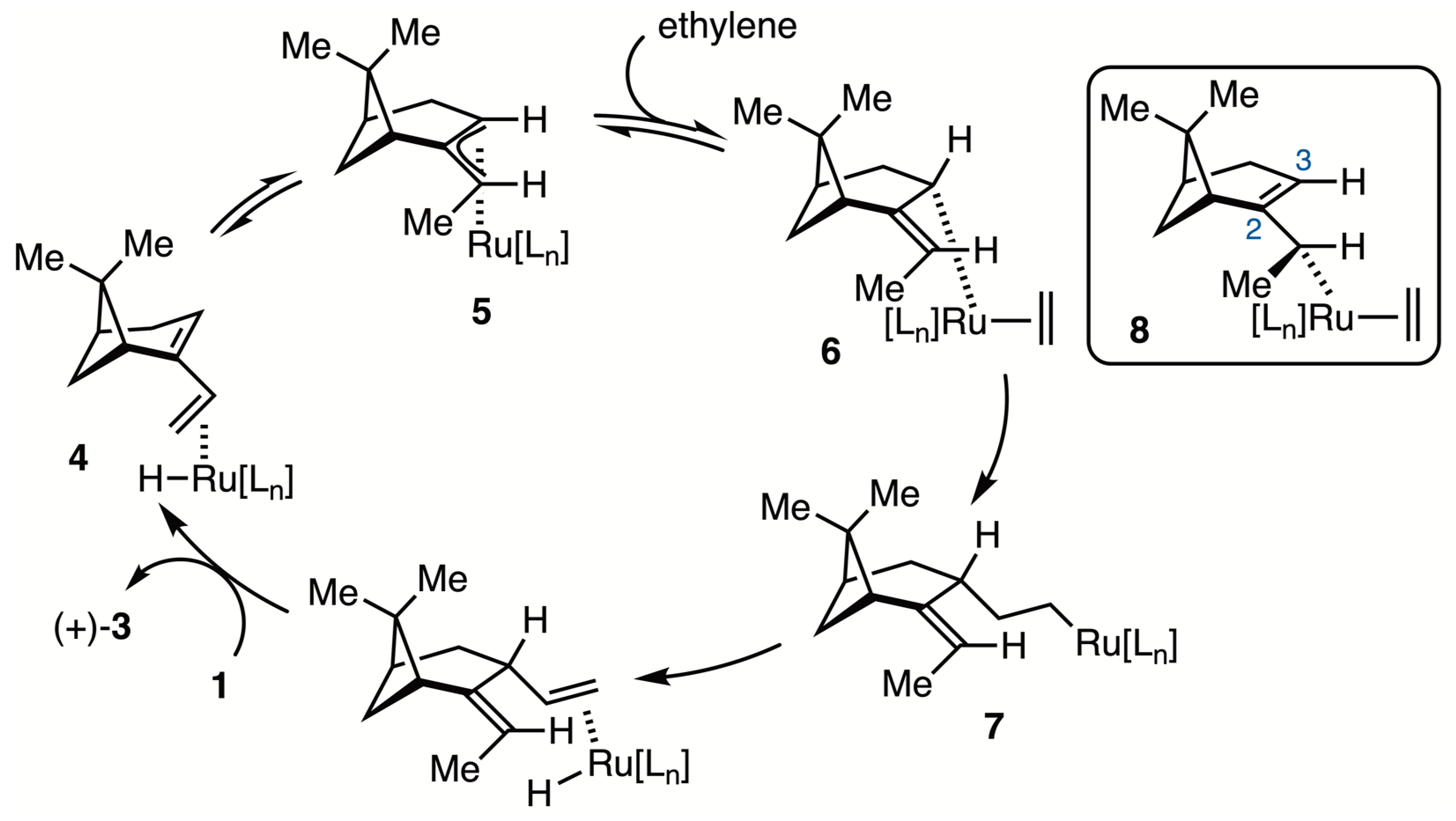 Molbank 2024 m1850 sch002