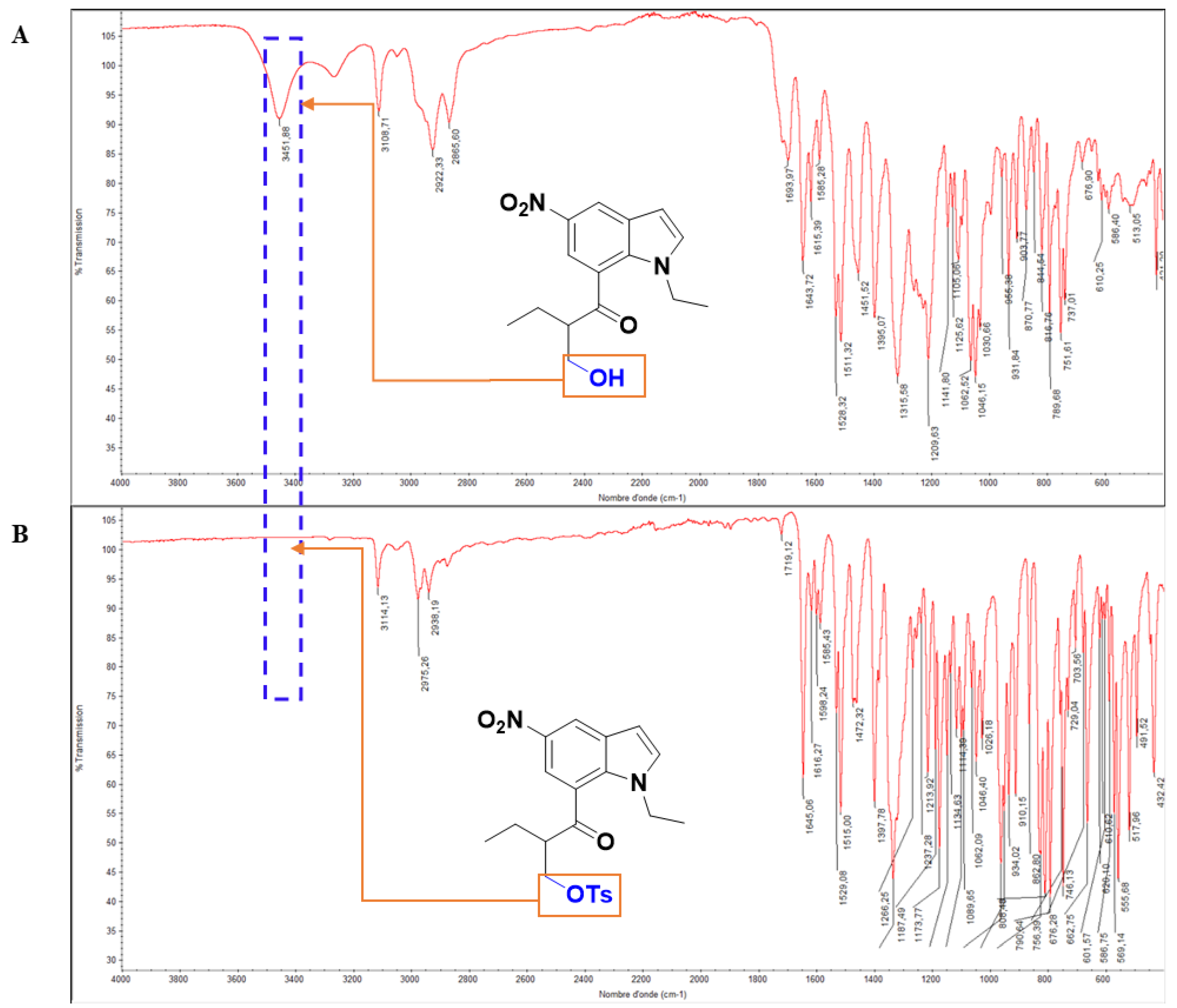 Molbank 2024 m1857 g003