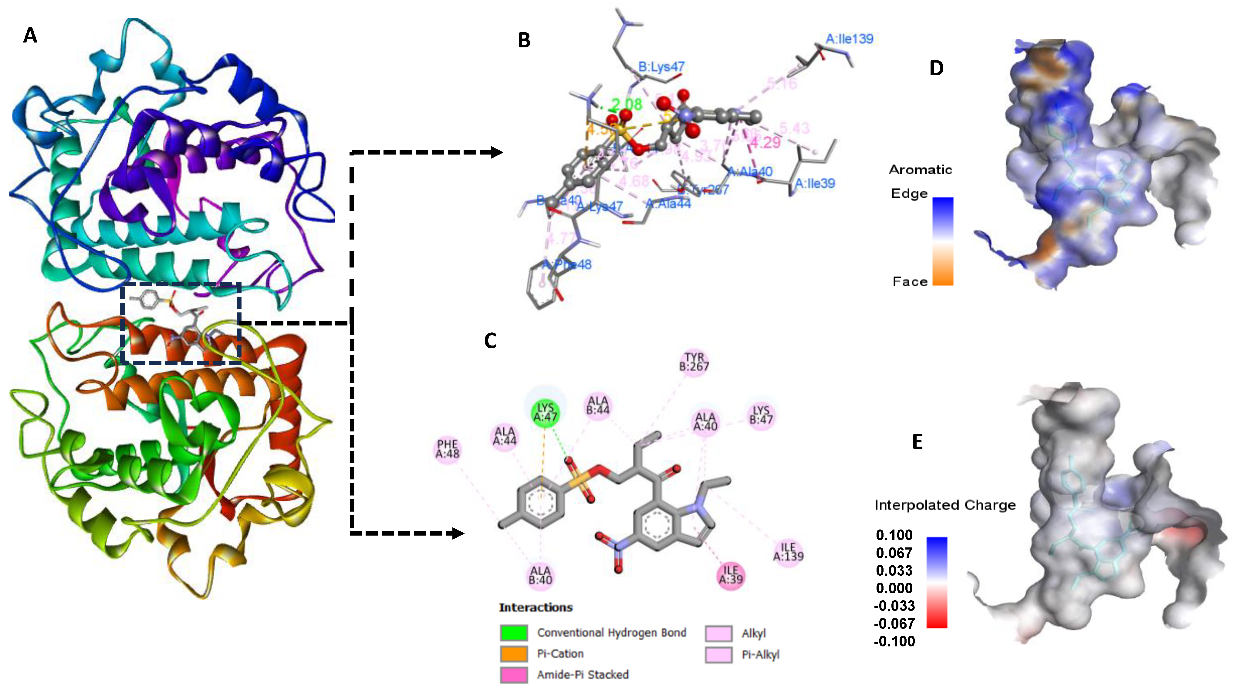 Molbank 2024 m1857 g006