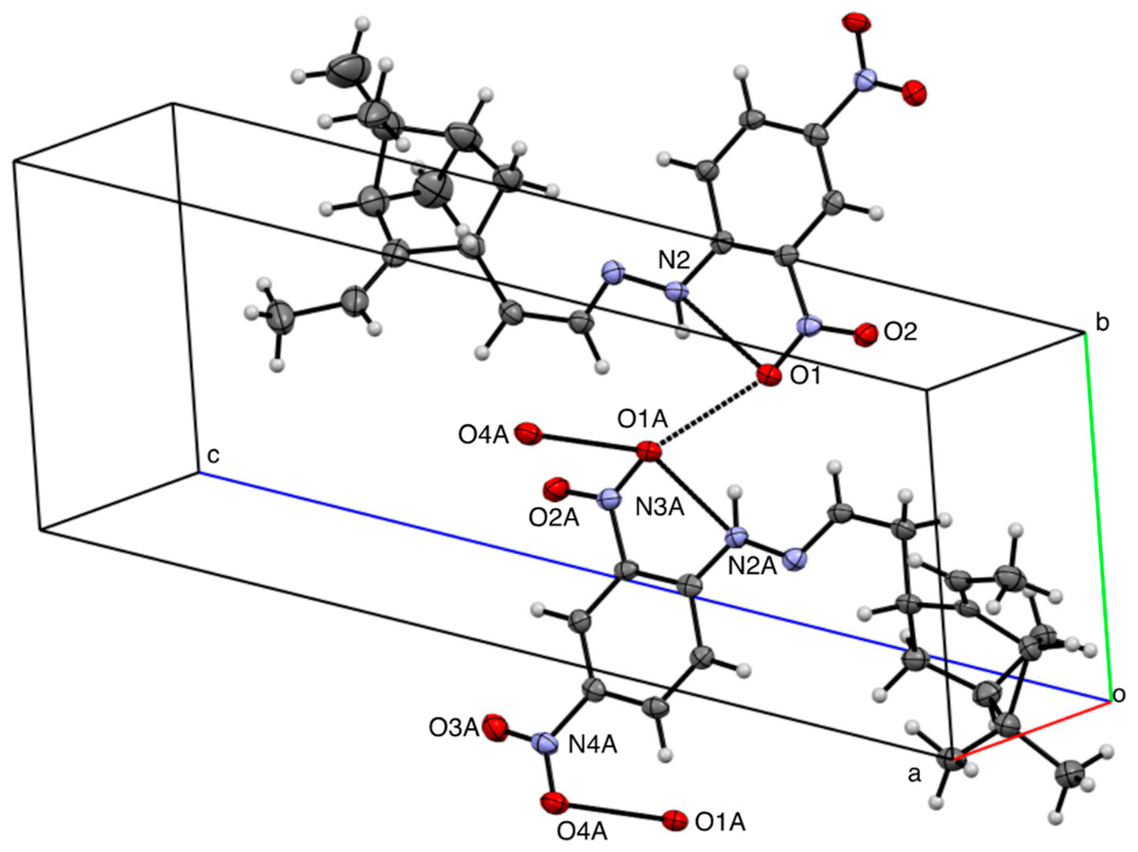 Molbank 2024 m1860 g002