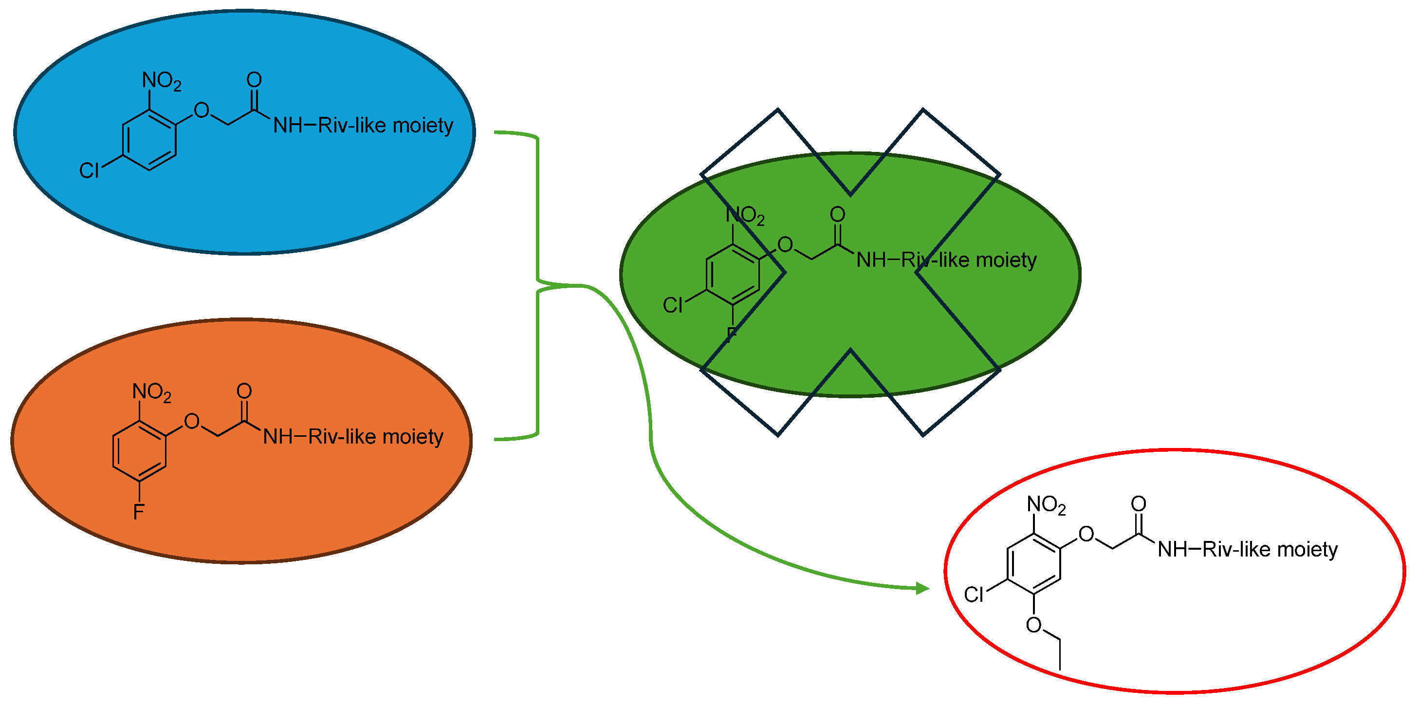 Molbank 2024 m1863 g001