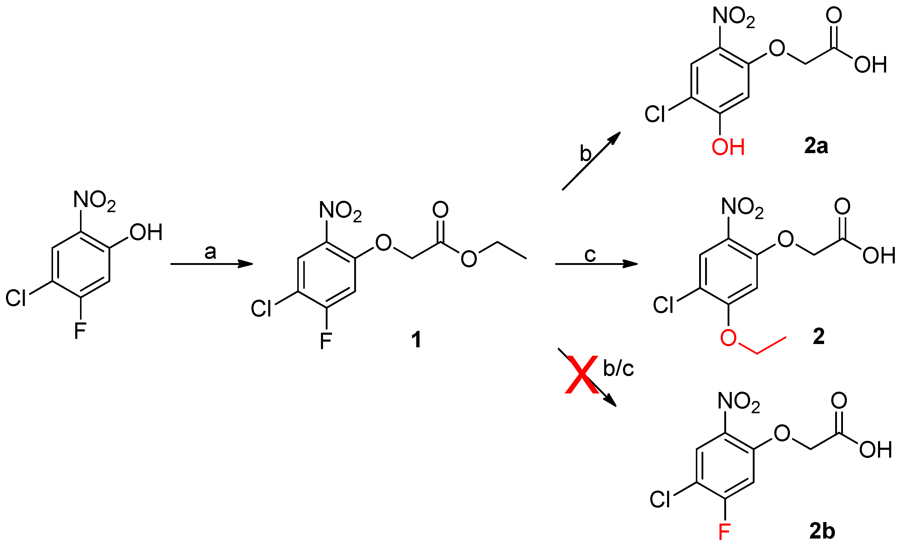 Molbank 2024 m1863 sch001
