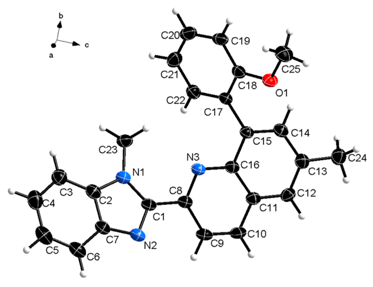 Molbank 2024 m1874 g001