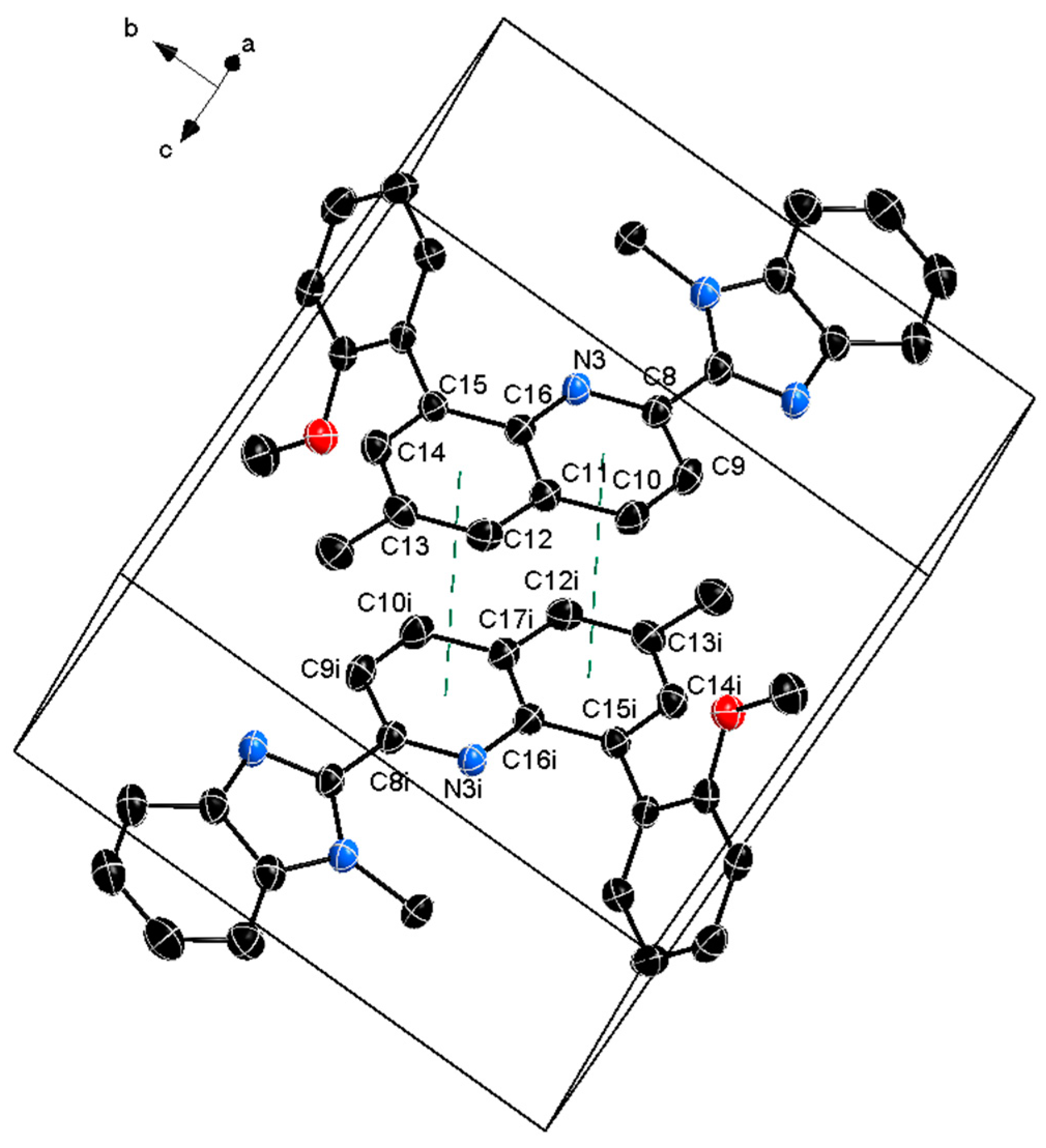 Molbank 2024 m1874 g002