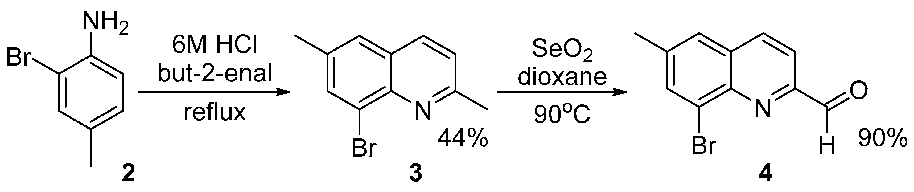 Molbank 2024 m1874 sch001