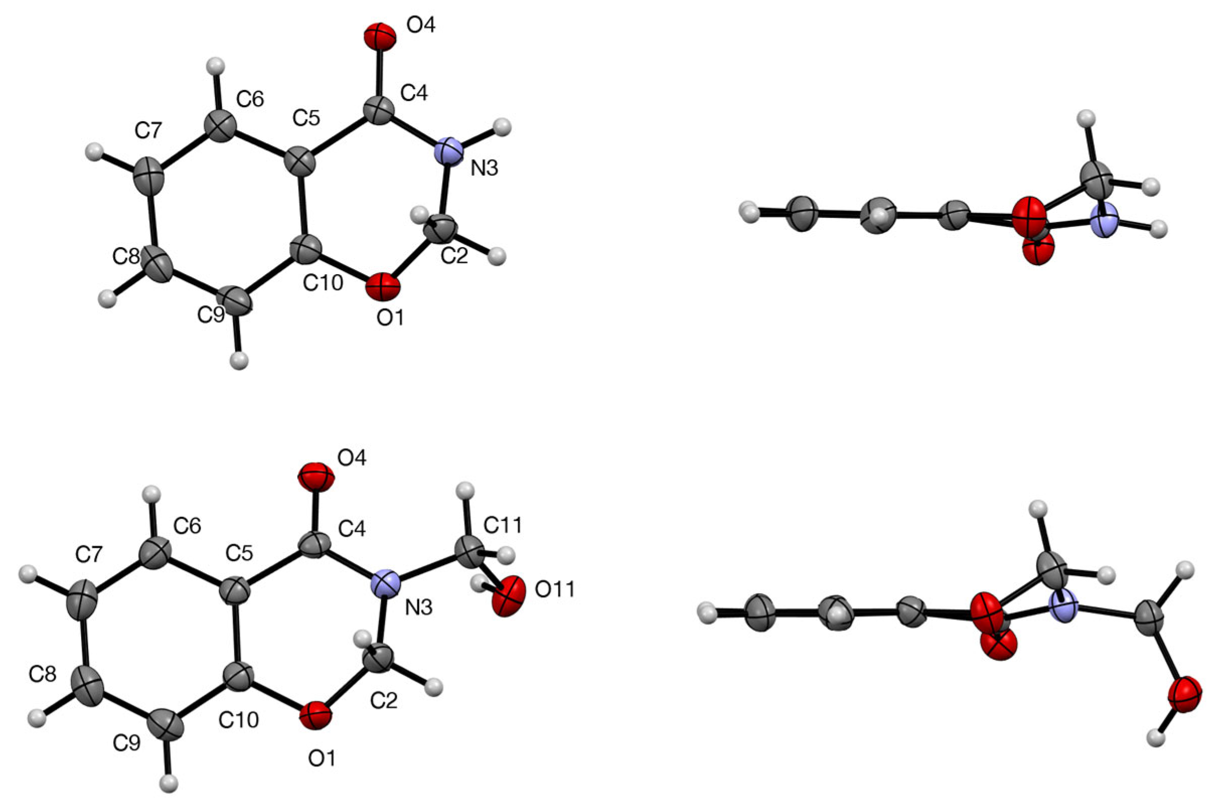 Molbank 2024 m1878 g002