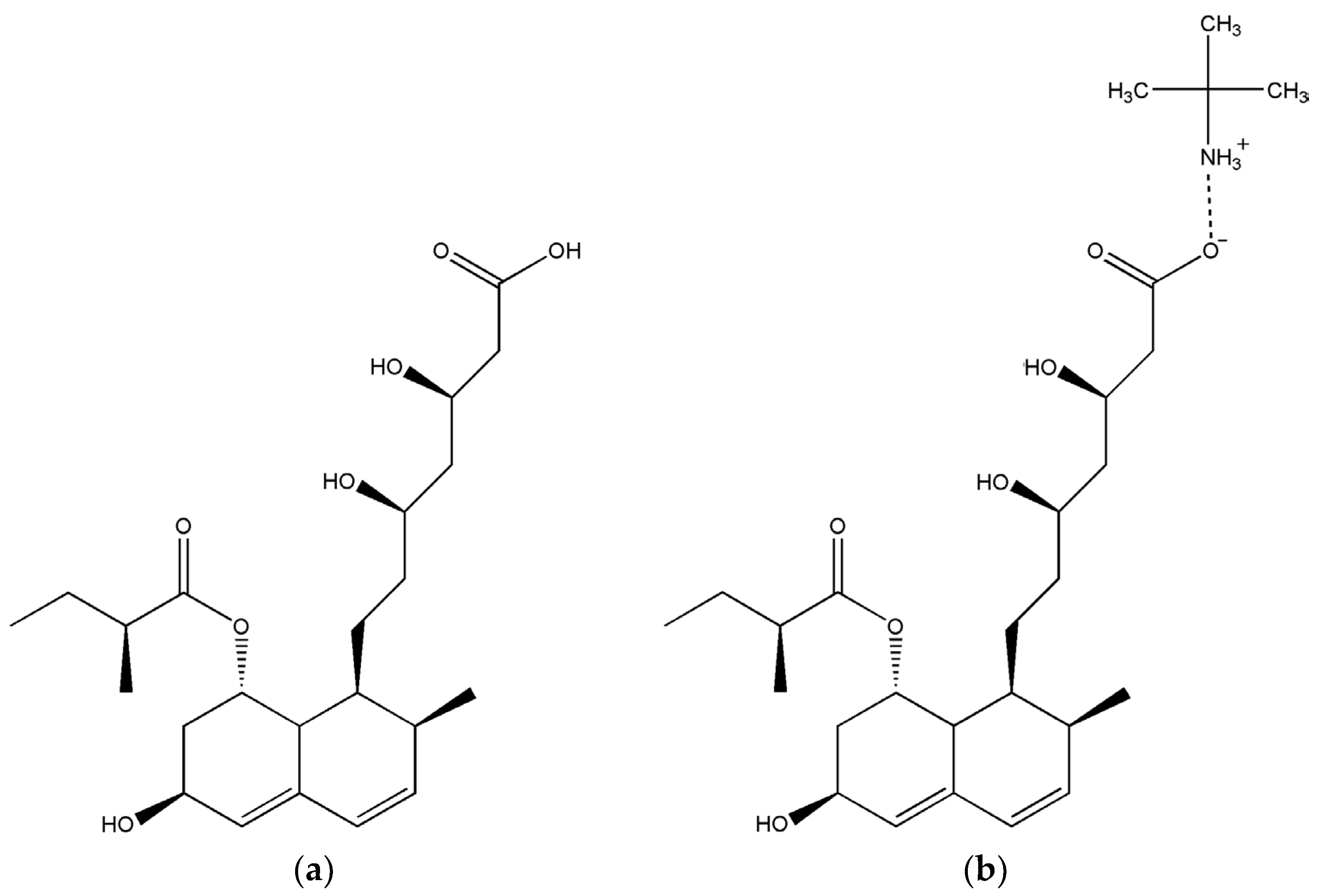 Molbank 2024 m1885 g001
