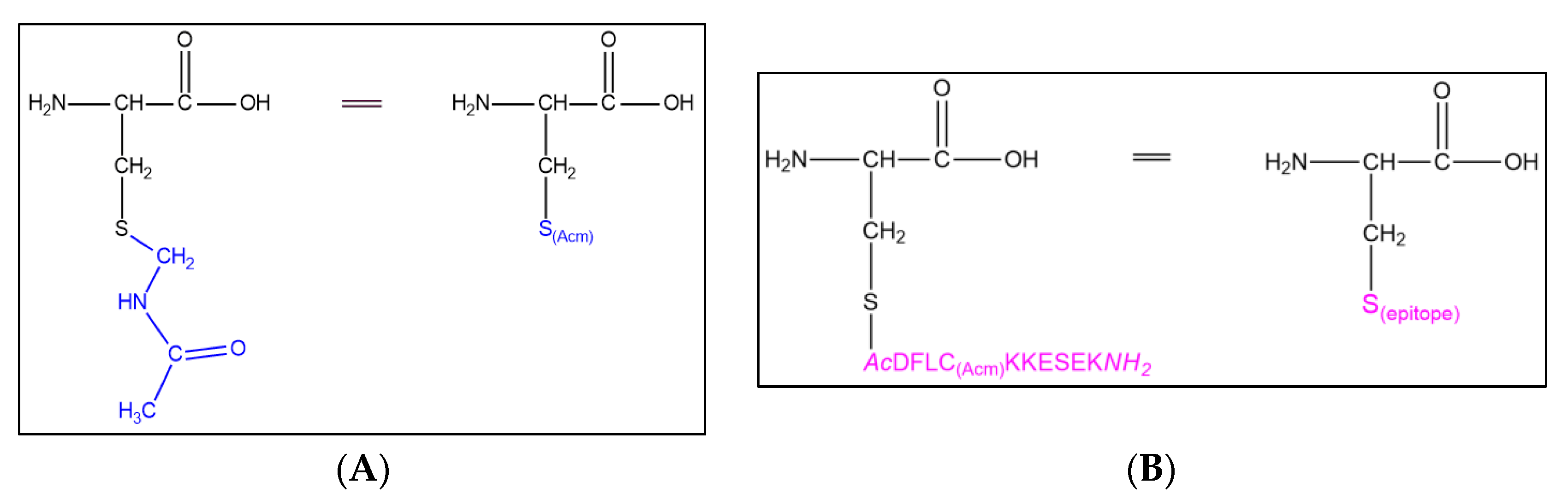 Molbank 2024 m1887 g001