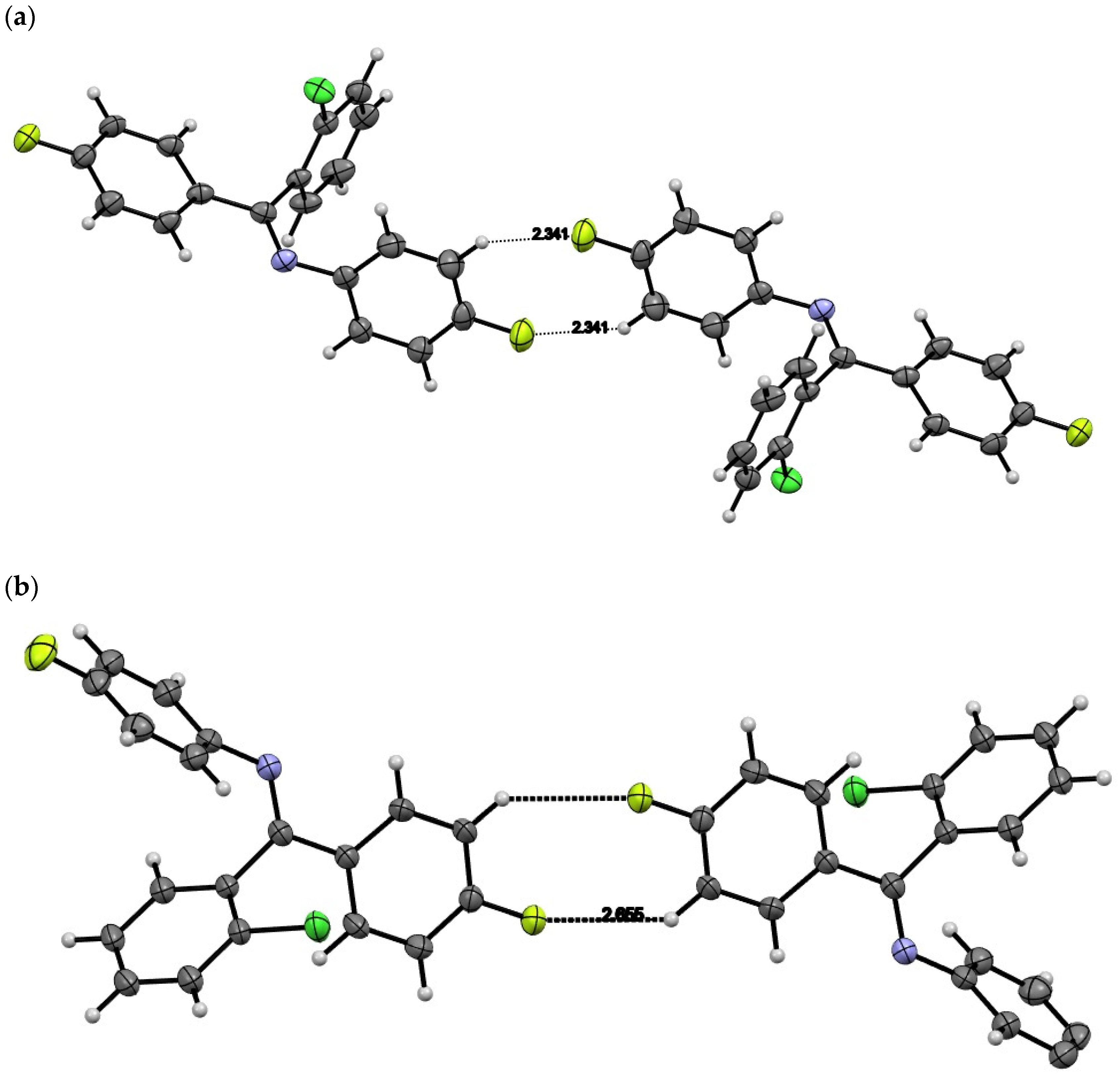 Molbank 2024 m1892 g006
