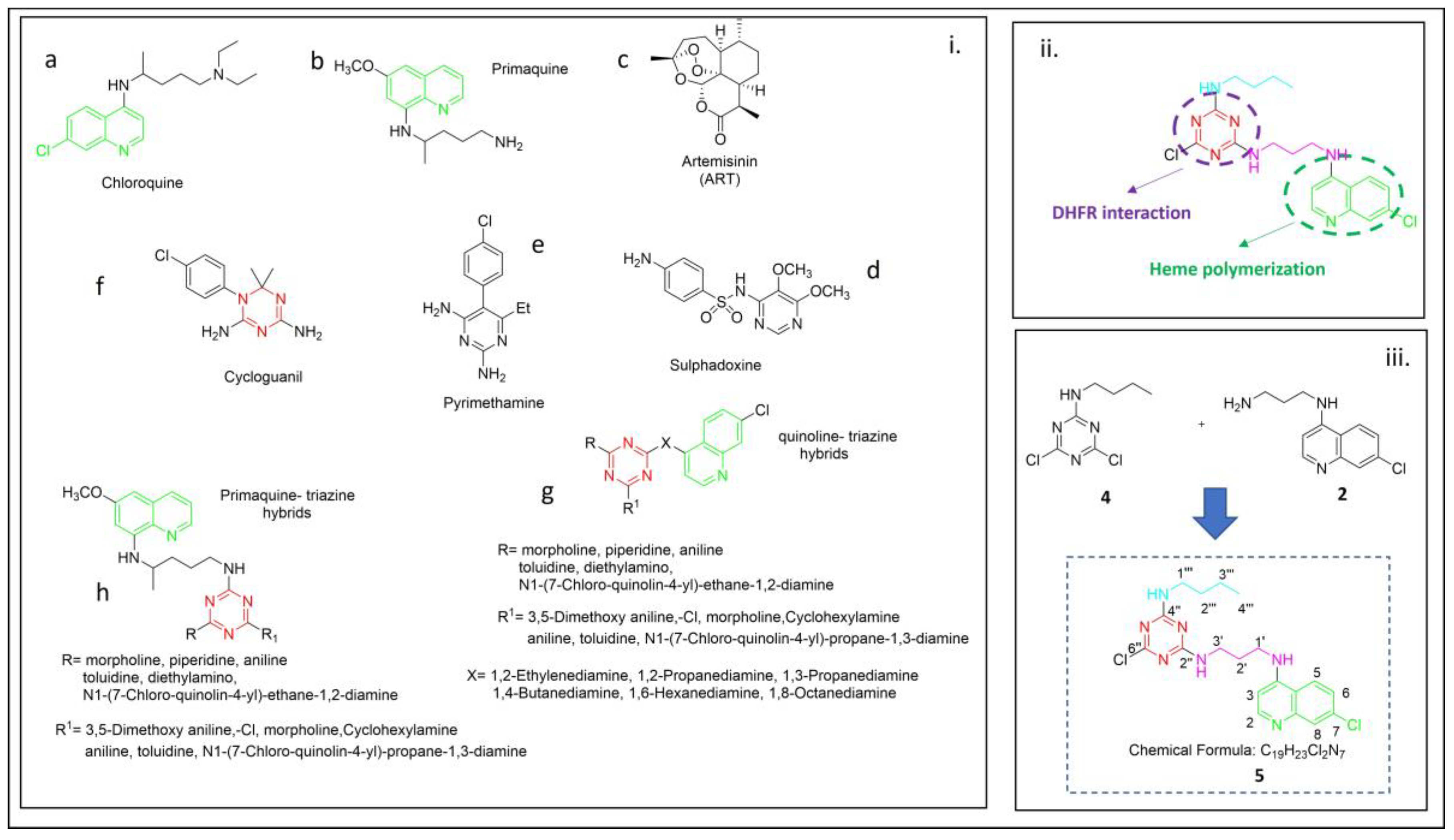 Molbank 2024 m1895 g001