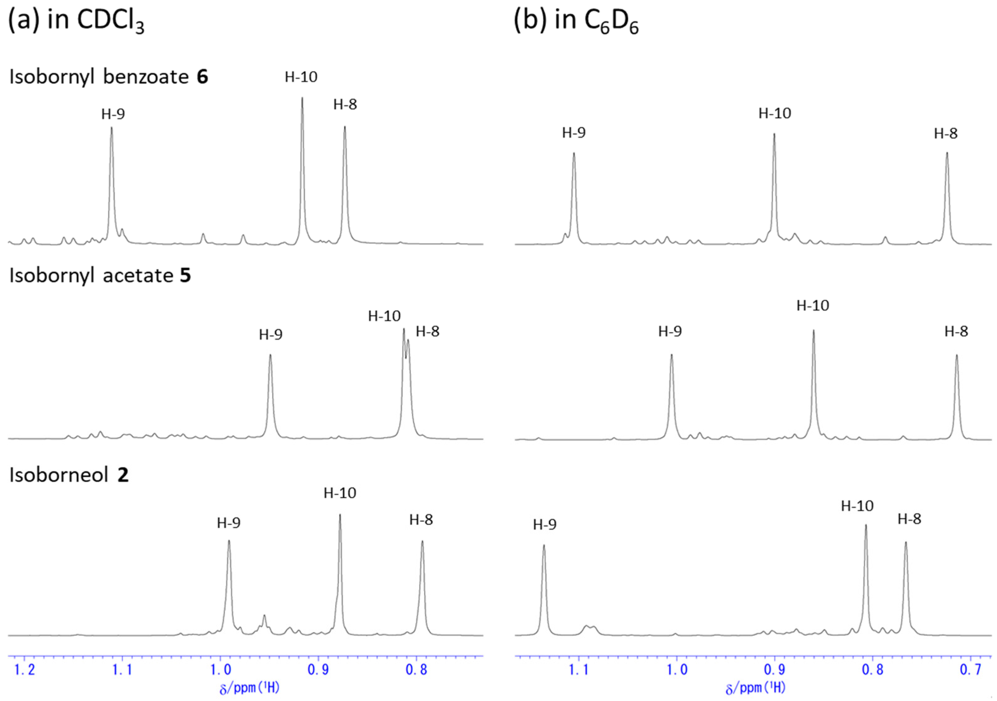 Molbank 2024 m1899 g006