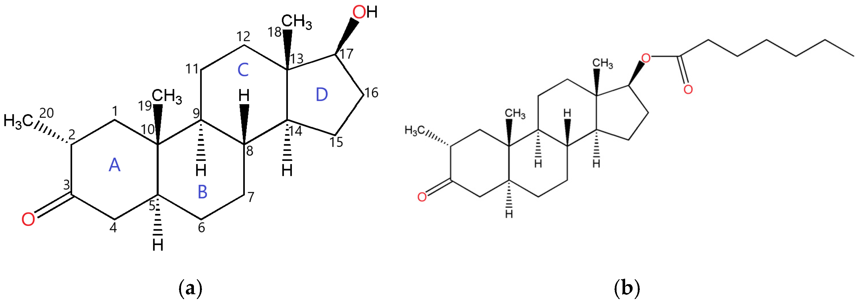 Molbank 2024 m1907 g001