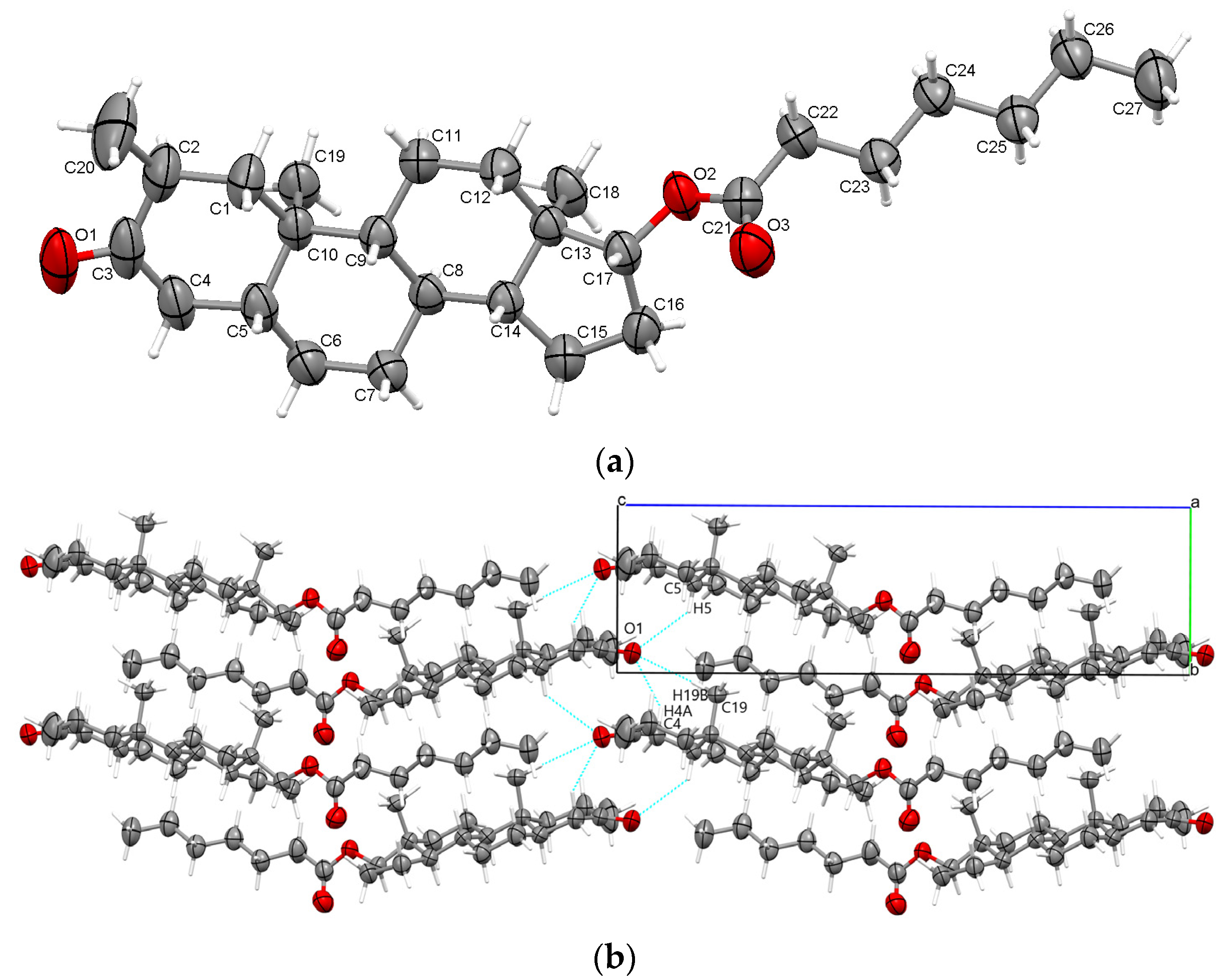Molbank 2024 m1907 g002