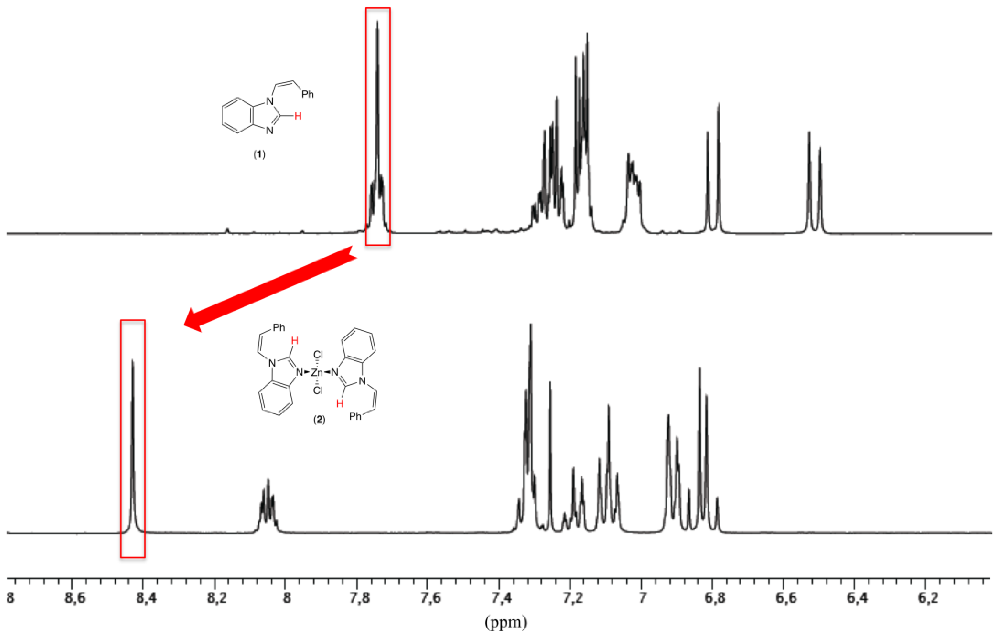 Molbank 2024 m1913 g002