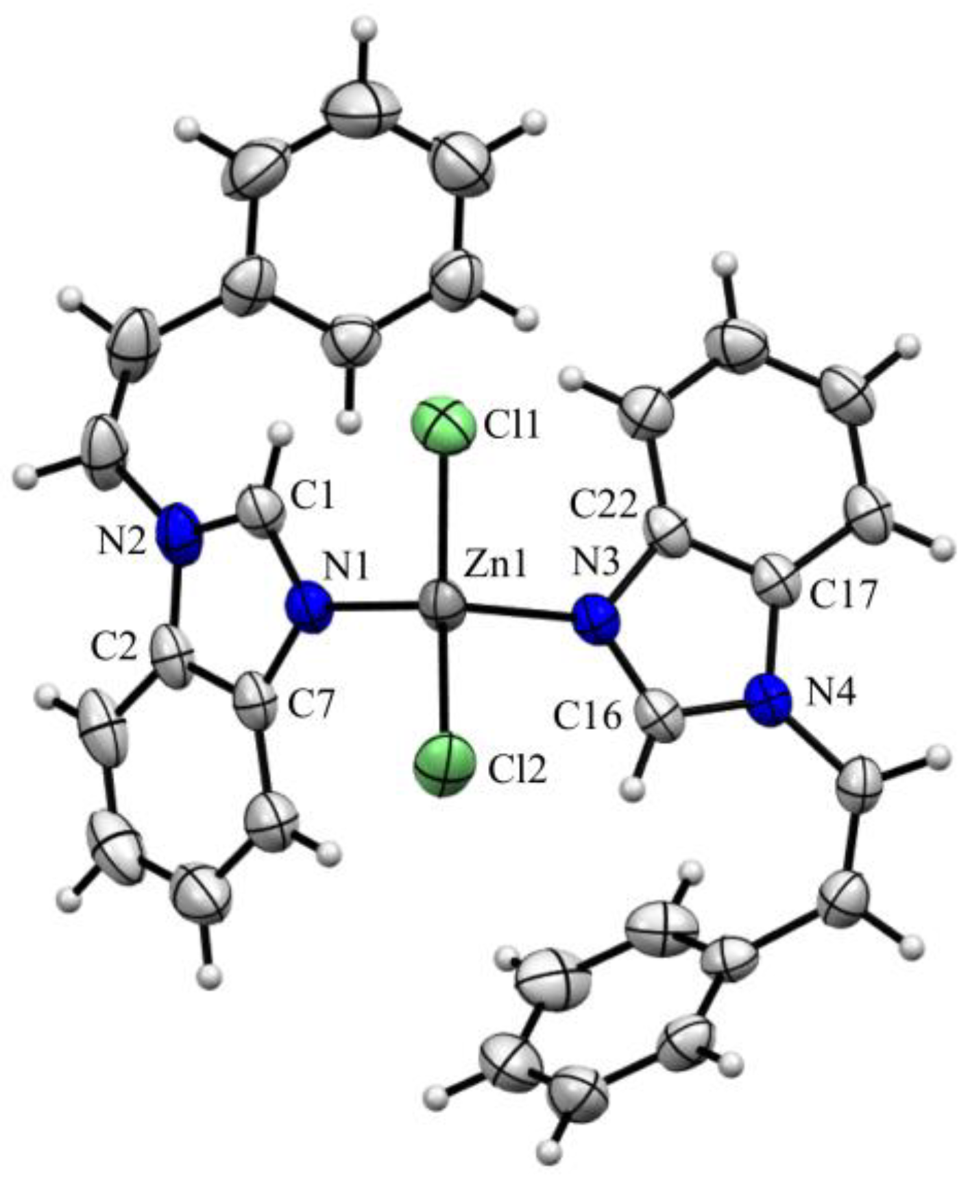 Molbank 2024 m1913 g003
