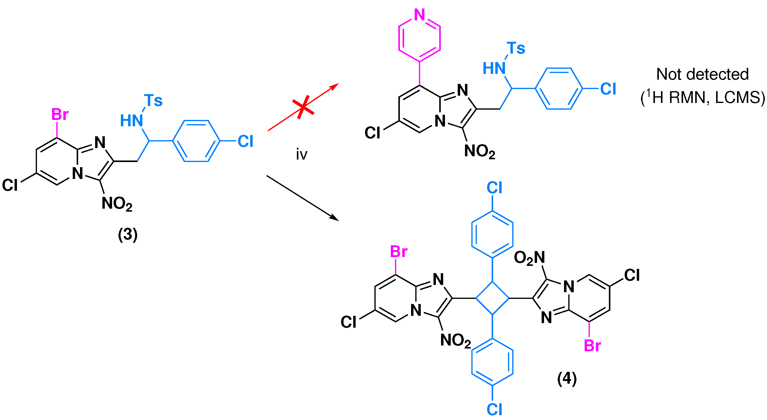 Molbank 2024 m1916 sch002