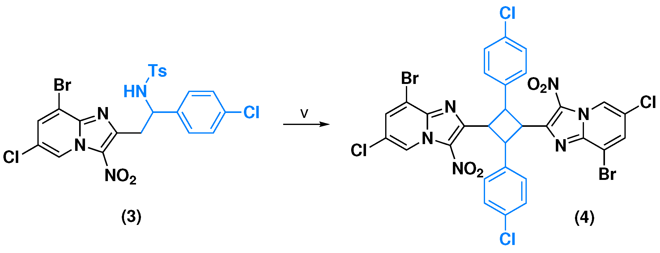 Molbank 2024 m1916 sch003