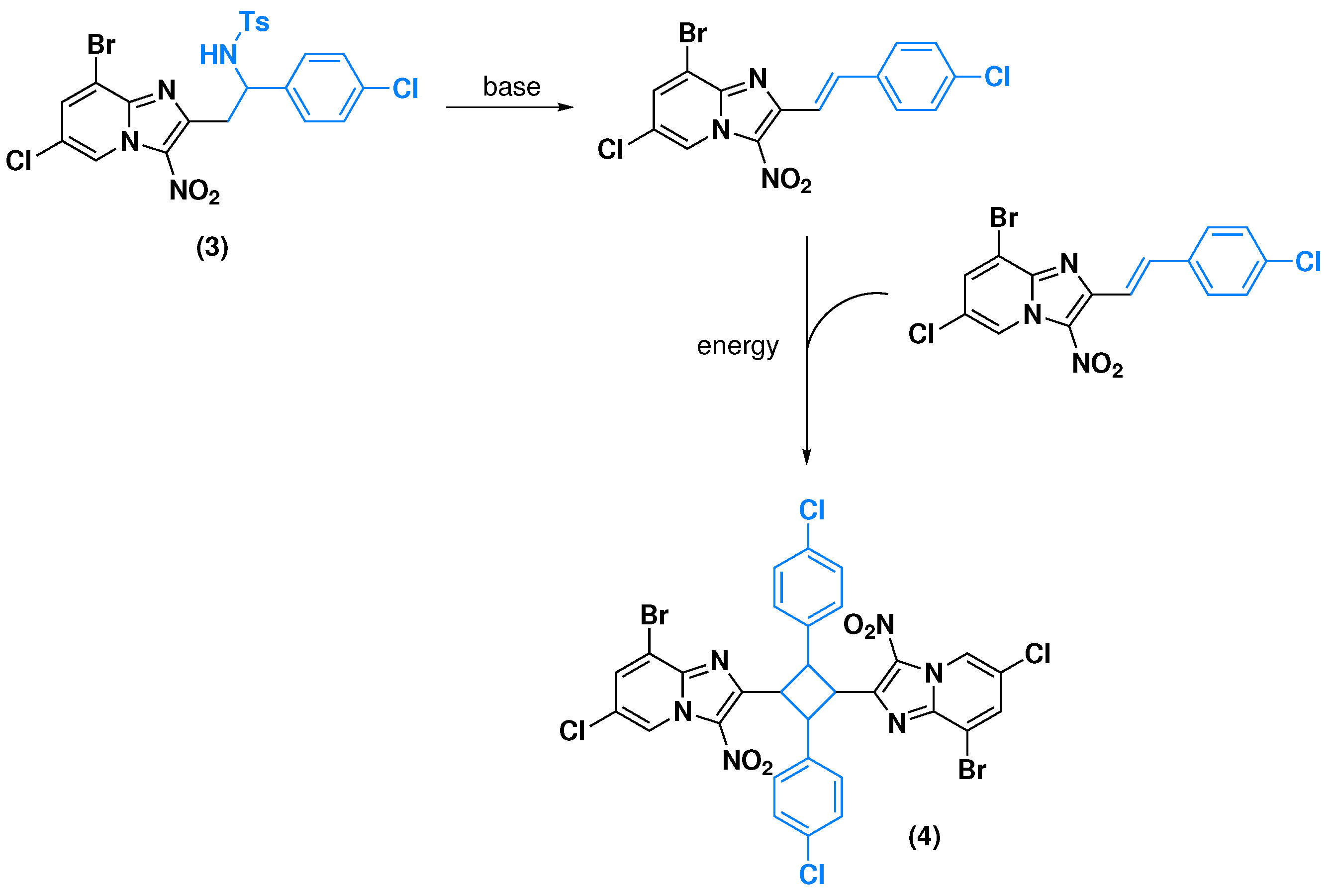 Molbank 2024 m1916 sch004