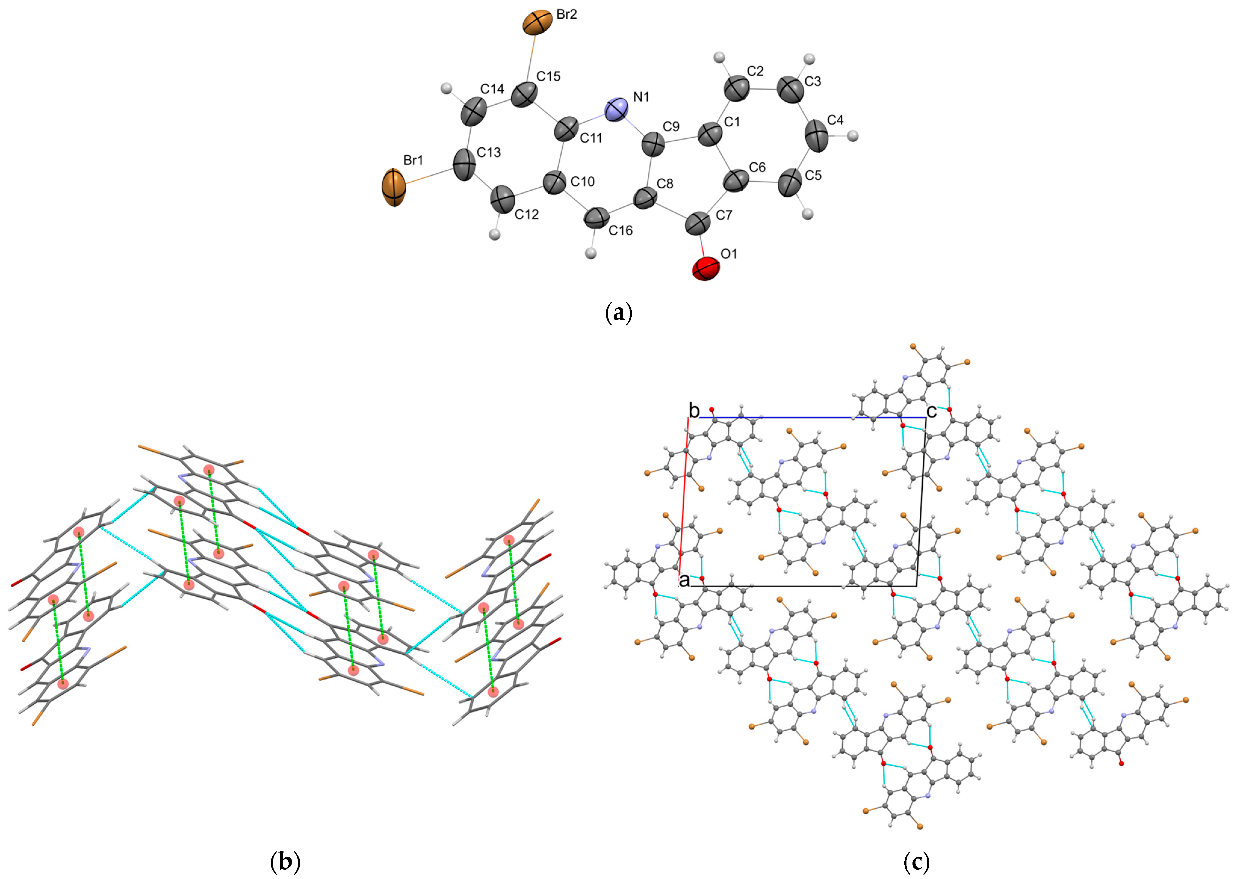 Molbank 2024 m1922 g001