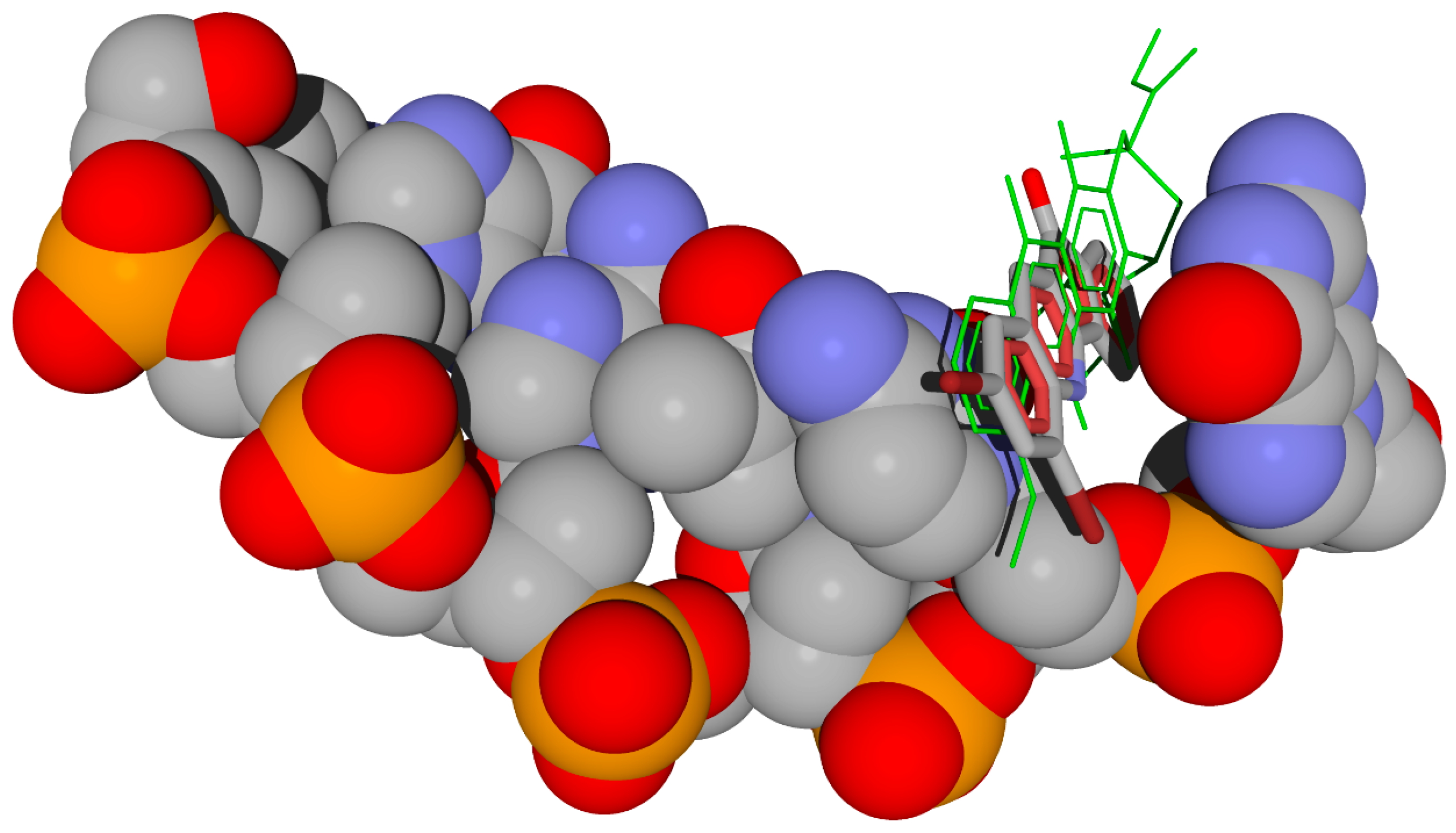 Molbank 2024 m1922 g002