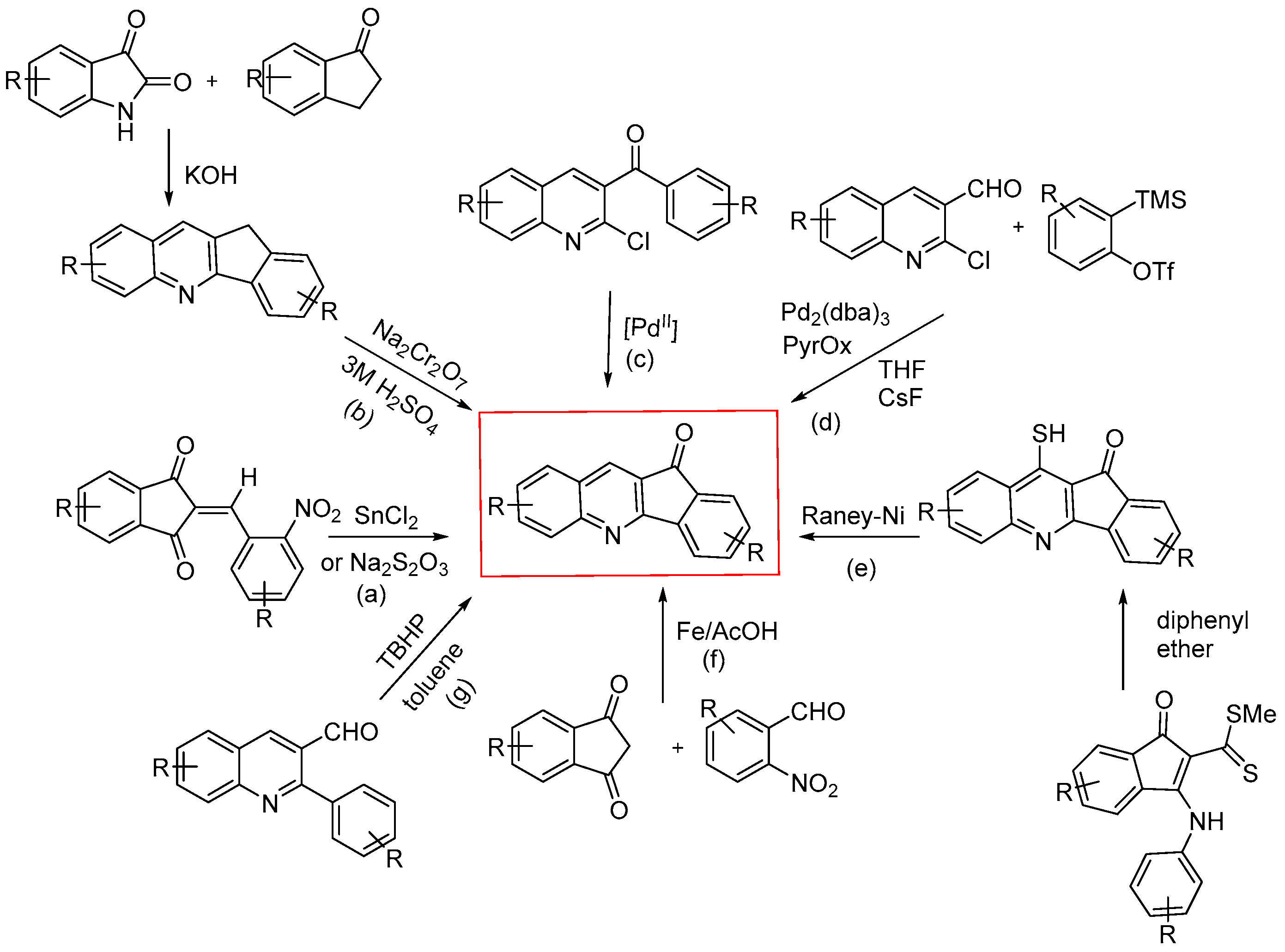 Molbank 2024 m1922 sch002