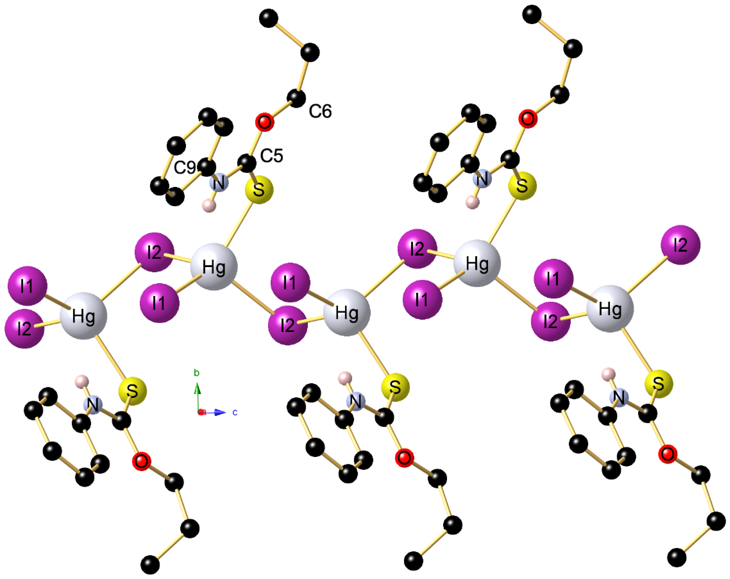 Molbank 2024 m1923 g004