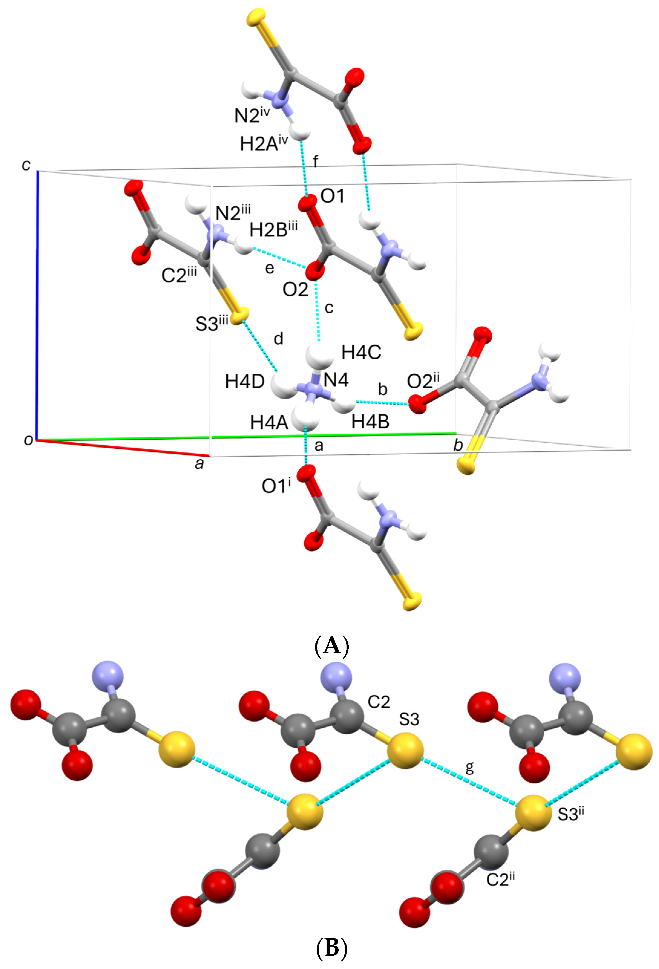Molbank 2024 m1924 g002