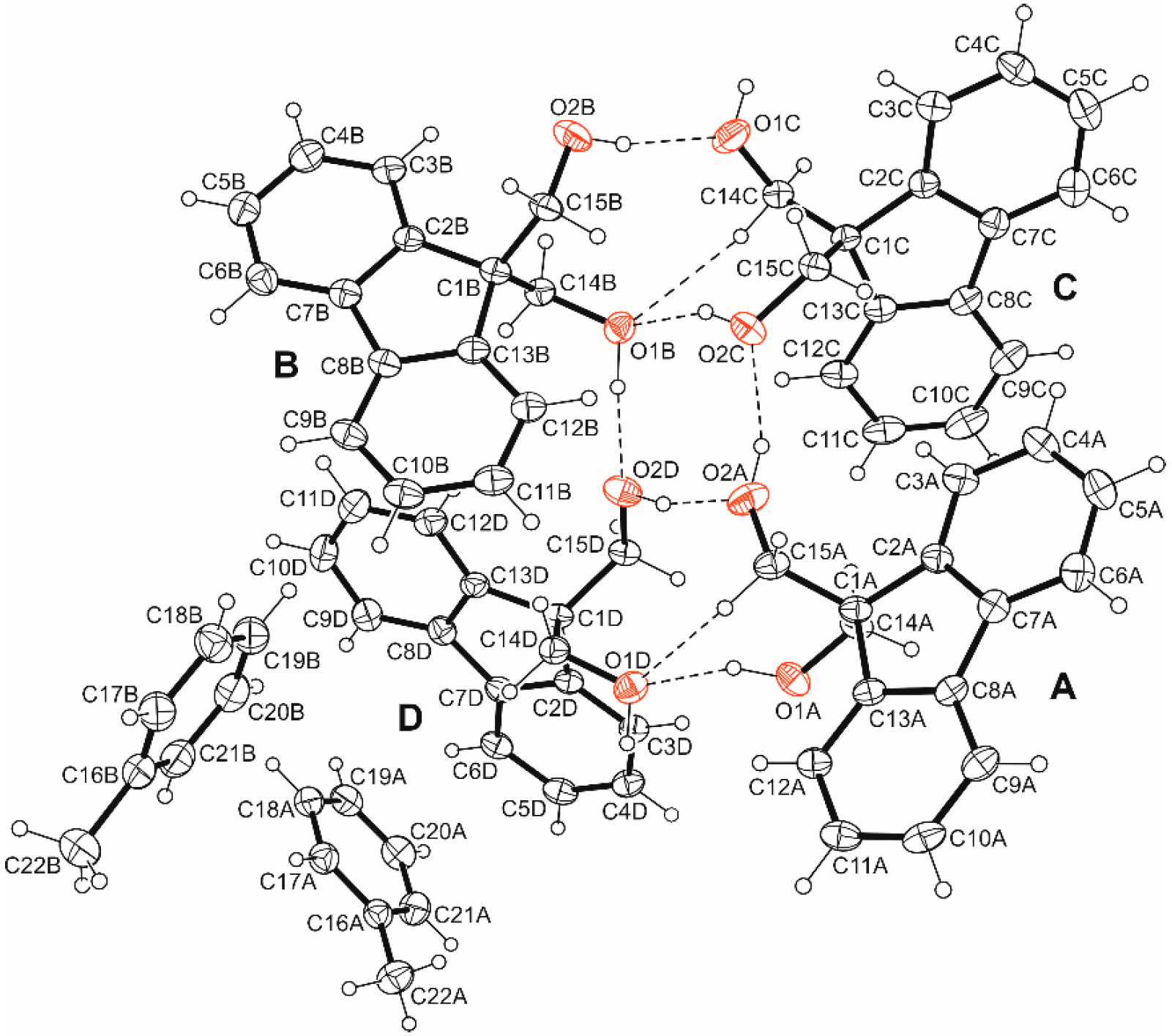 Molbank 2024 m1928 g006