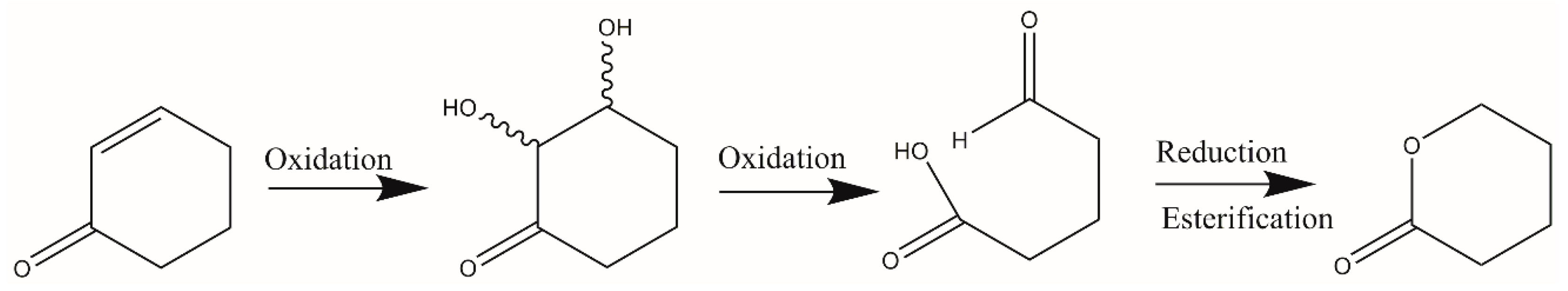 Molbank 2024 m1935 sch001 Molbank 2024 m1935 sch001