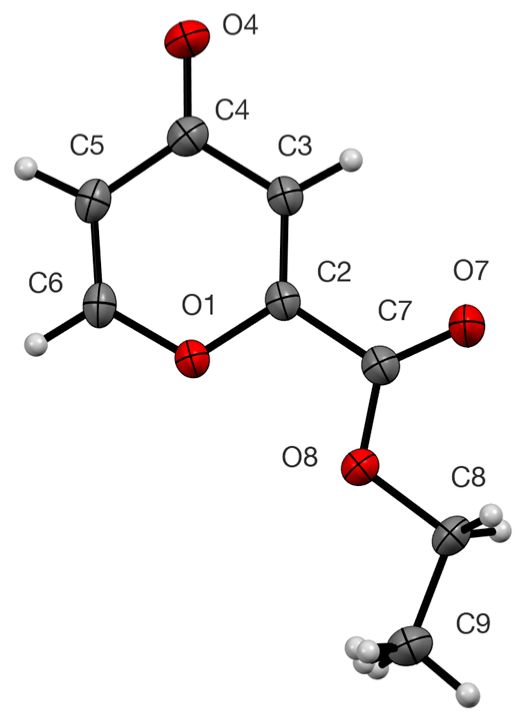 Molbank 2024 m1939 g002