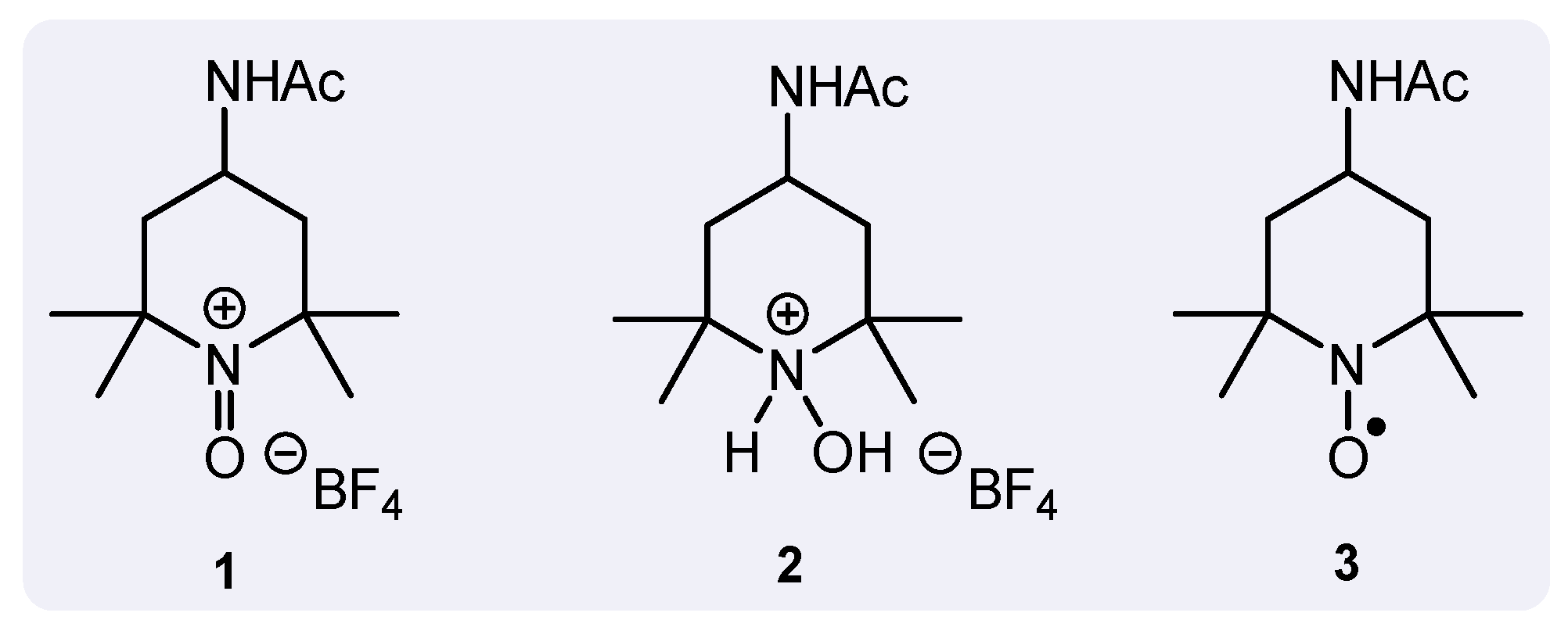 Molbank 2024 m1943 g001