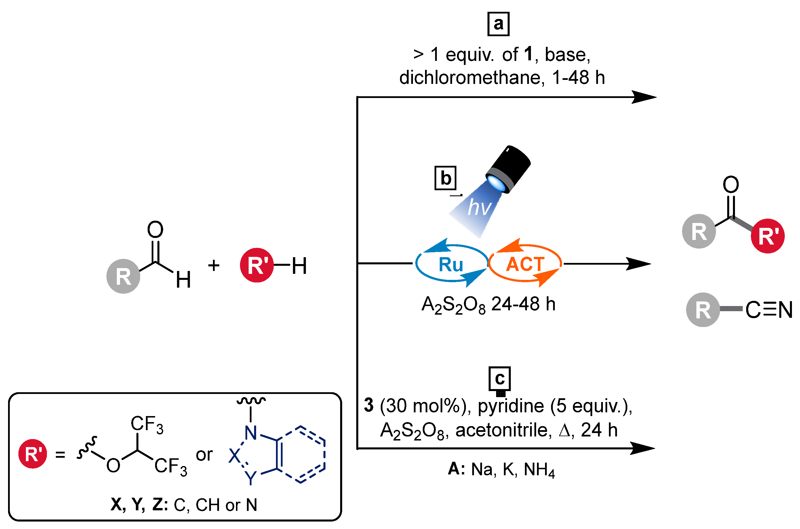 Molbank 2024 m1943 g002