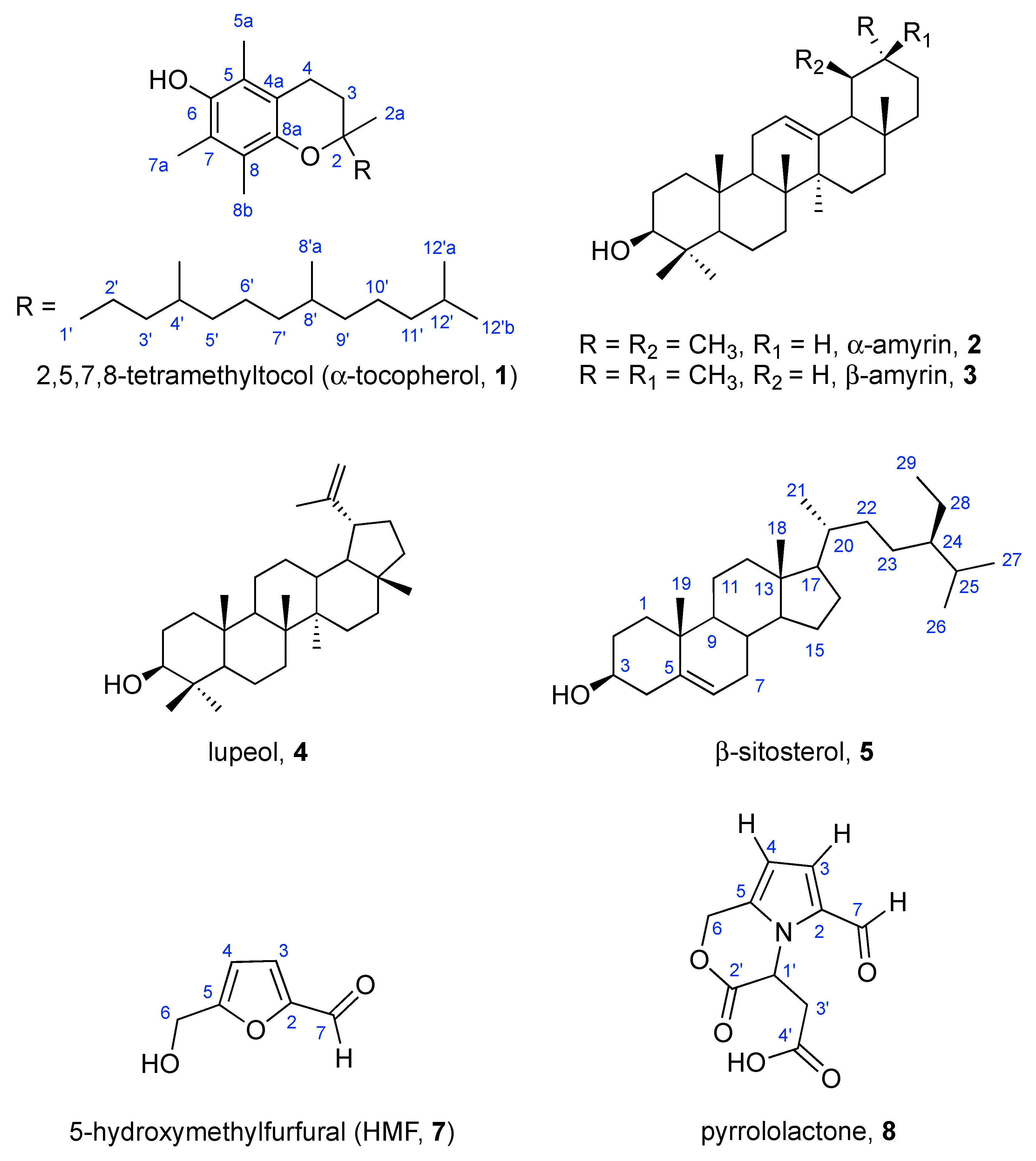 Molbank 2025 m1950 g002