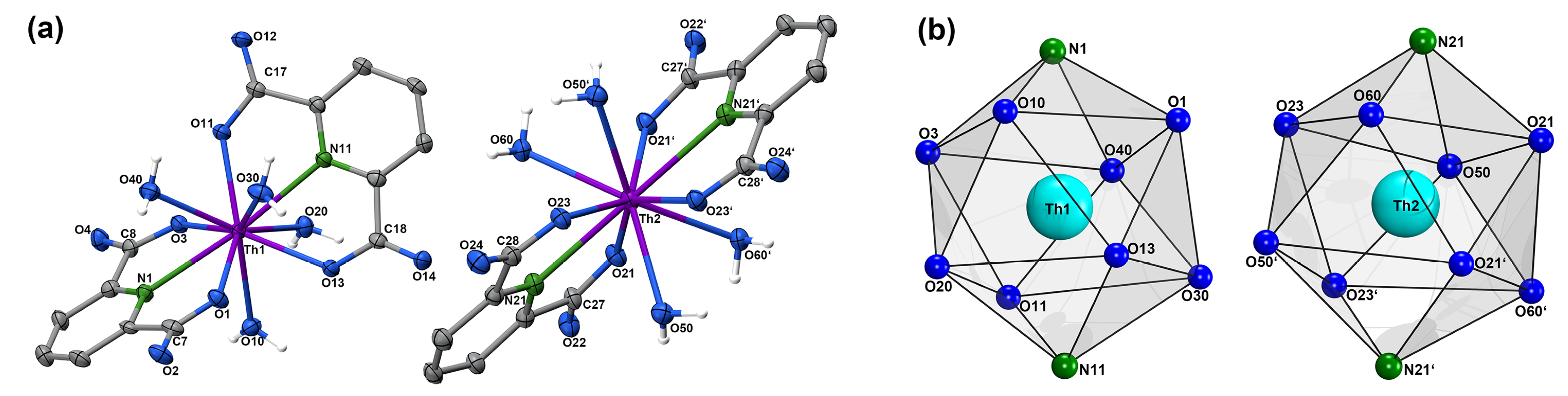 Molbank 2025 m1957 g002