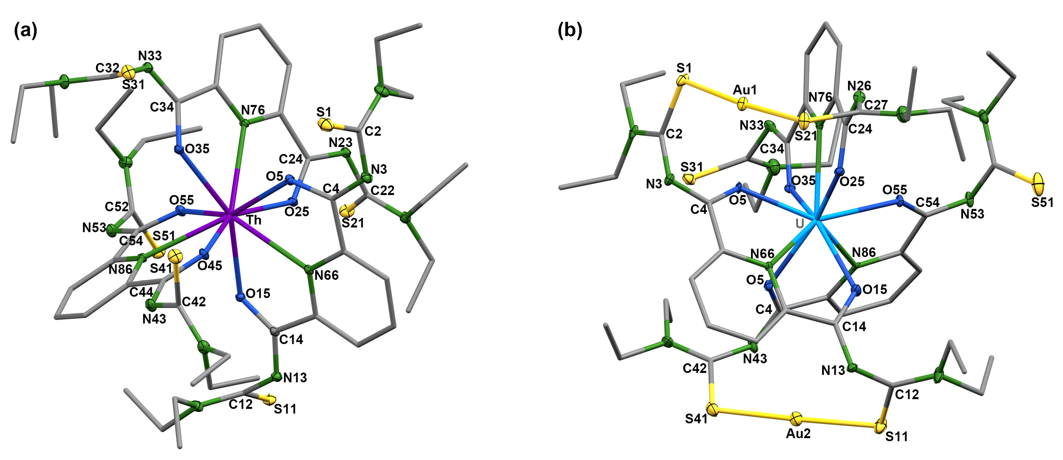 Molbank 2025 m1957 g003
