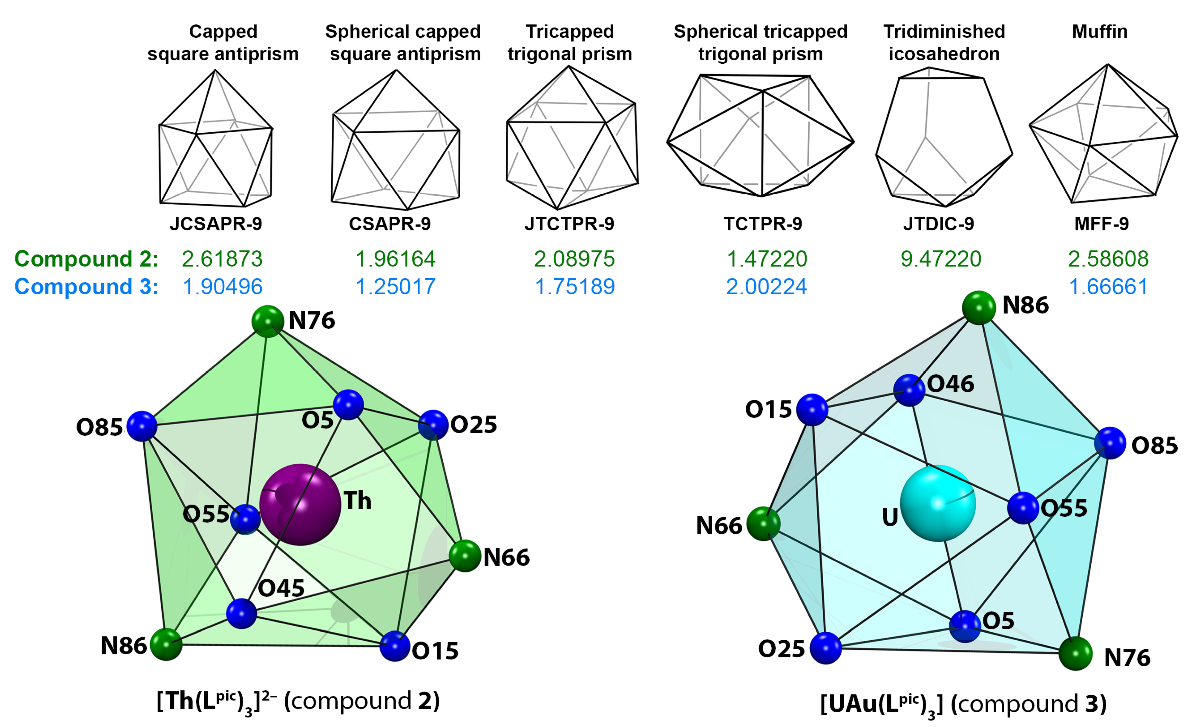 Molbank 2025 m1957 g004
