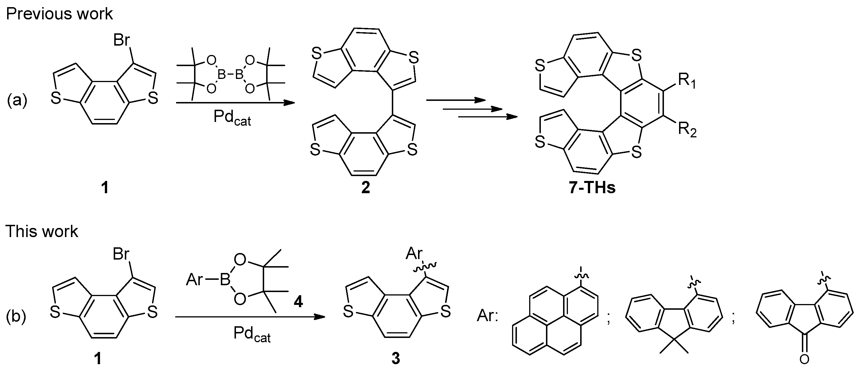 Molbank 2025 m1963 g001